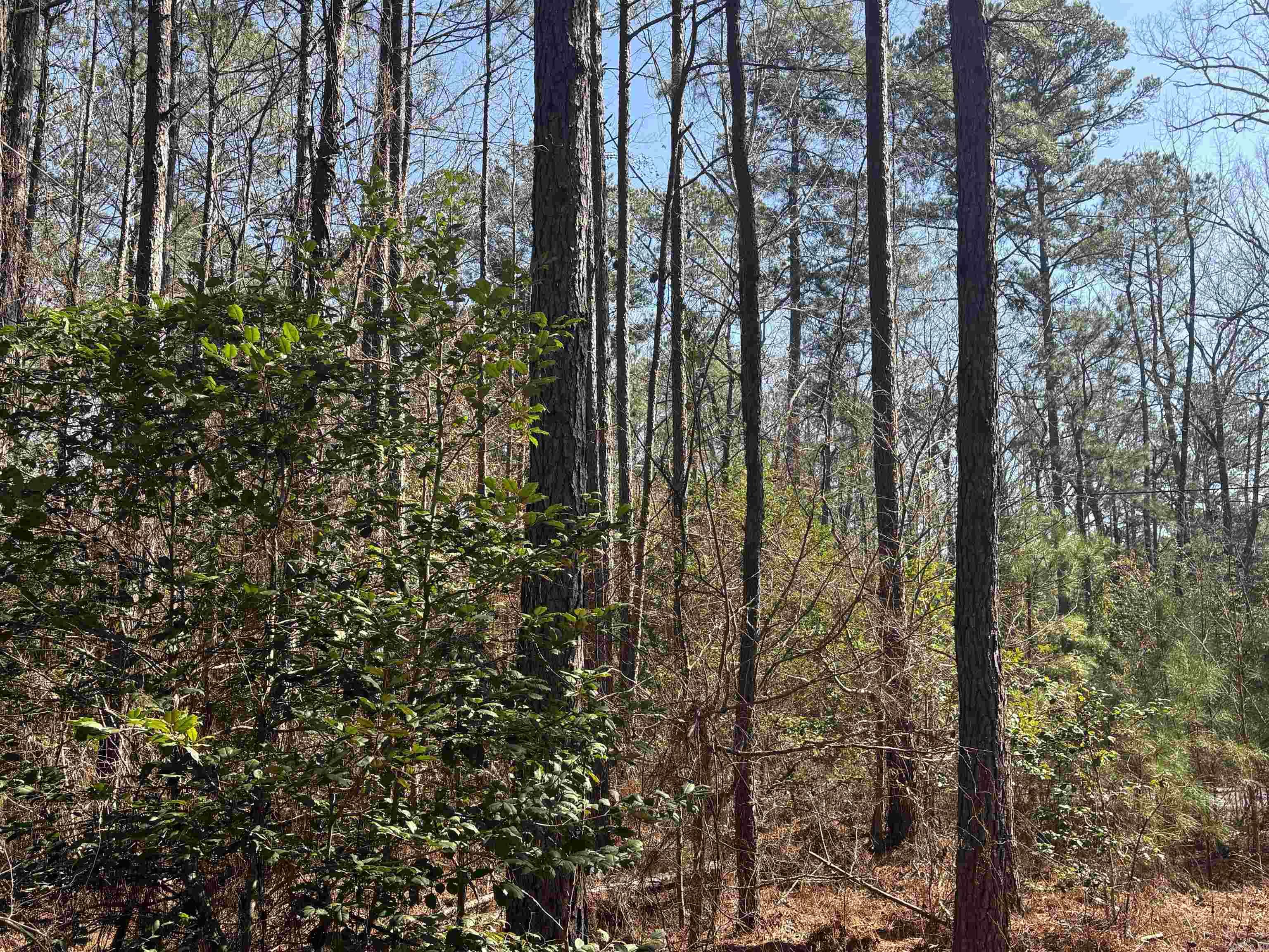 Metes & Bounds - Land