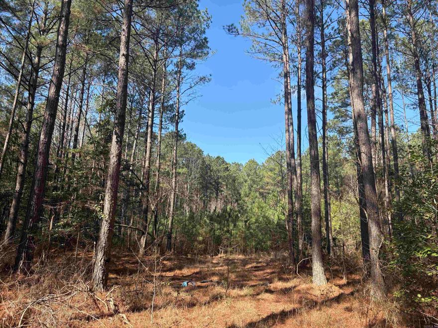 Wooded acreage- Level area to build a secluded home... conveniently located close to town.  Just 4.5 miles on hwy 46 N toward Redfield