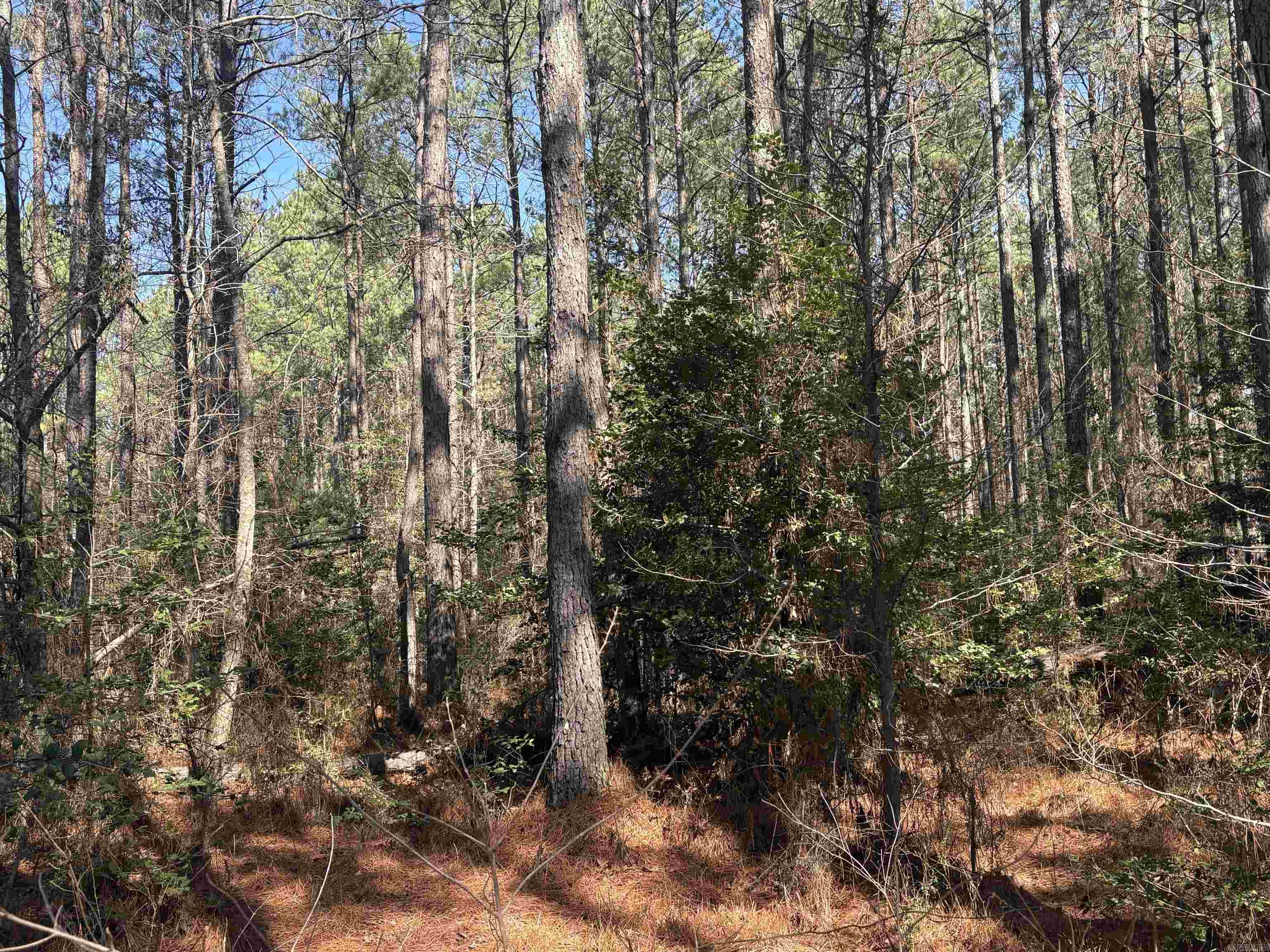 Metes & Bounds - Land