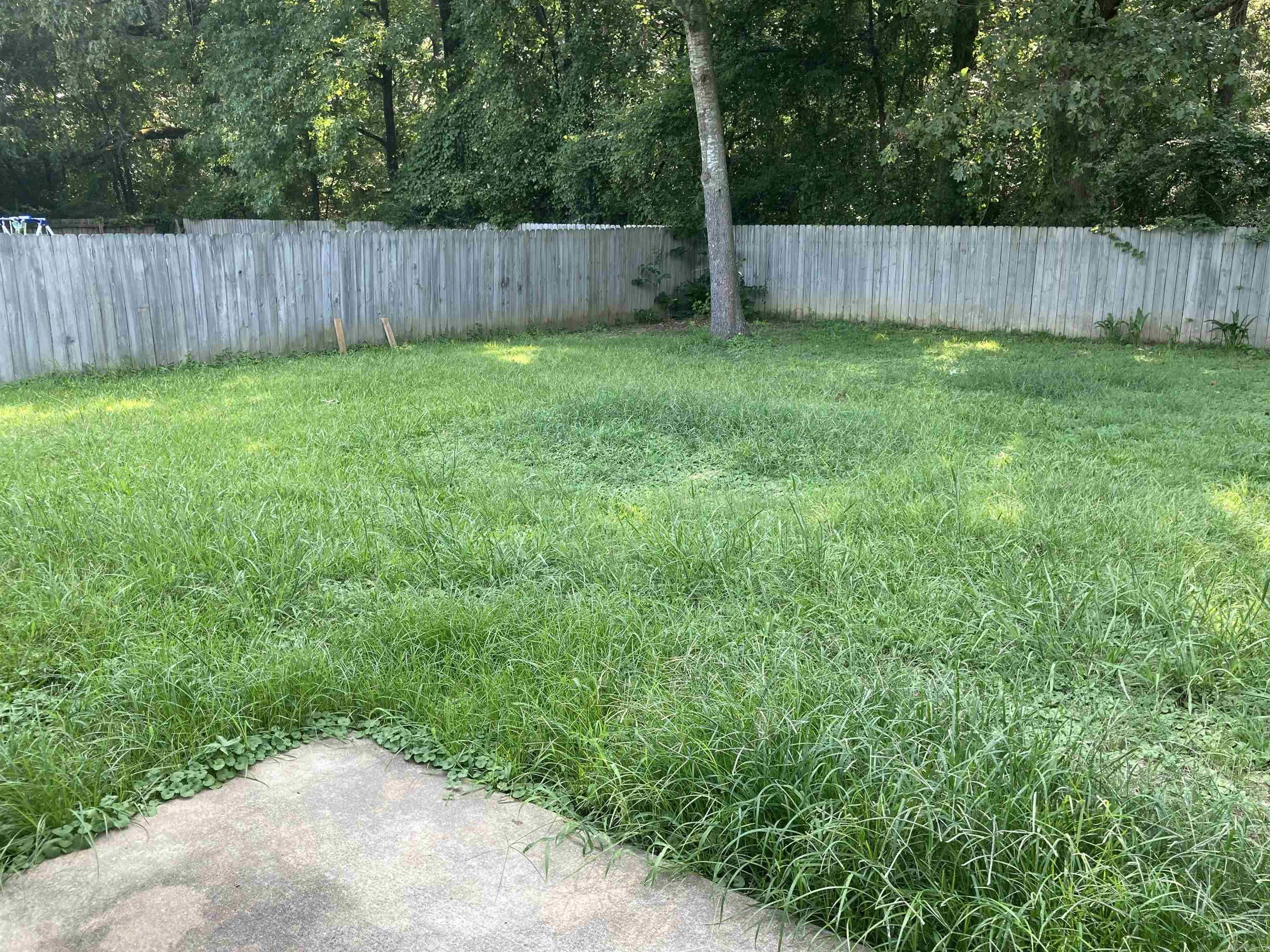 Mattie Lene I - Residential Lease