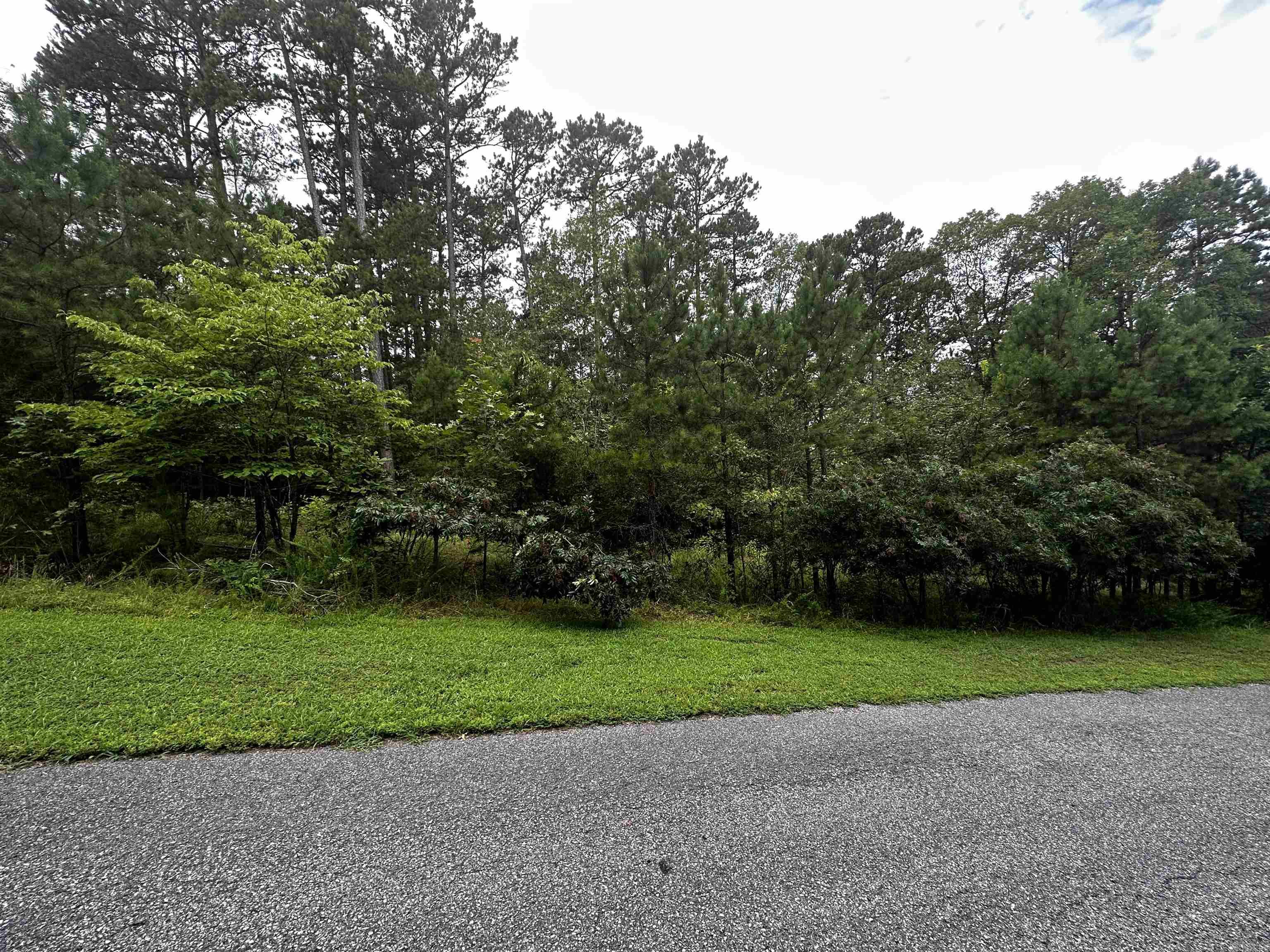 Great Neighborhood to build your dream home at the lake. Undergrounds utilities already in place! Mineral rights do not convey.