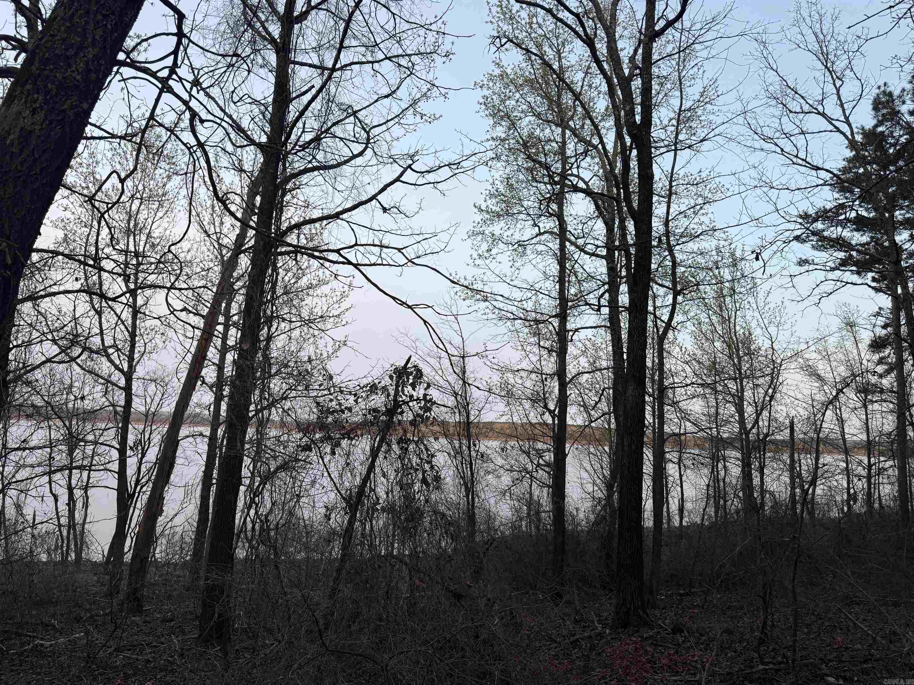 East Shores at Tannenbaum - Land