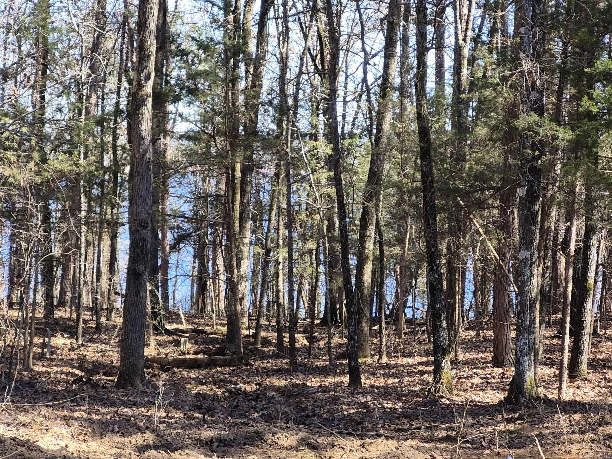 East Shores at Tannenbaum - Land