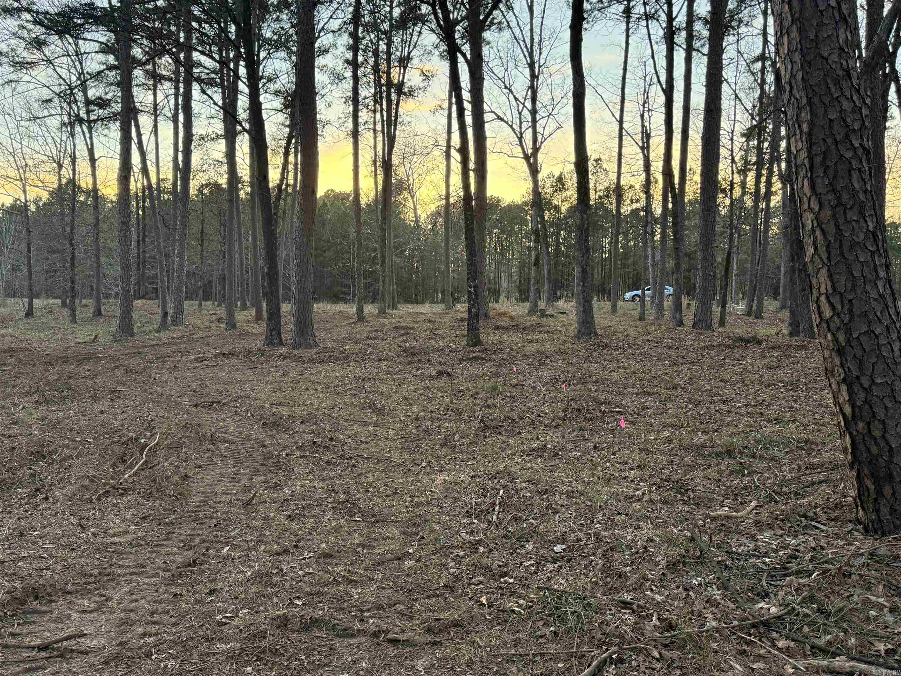 East Shores at Tannenbaum - Land