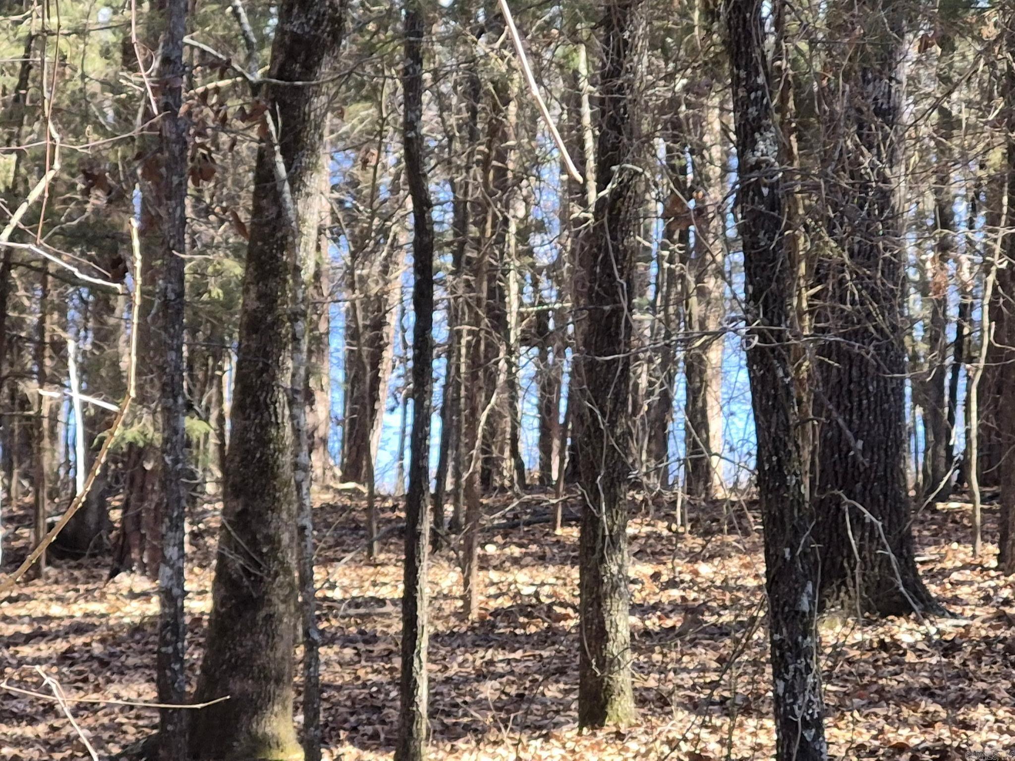 East Shores at Tannenbaum - Land