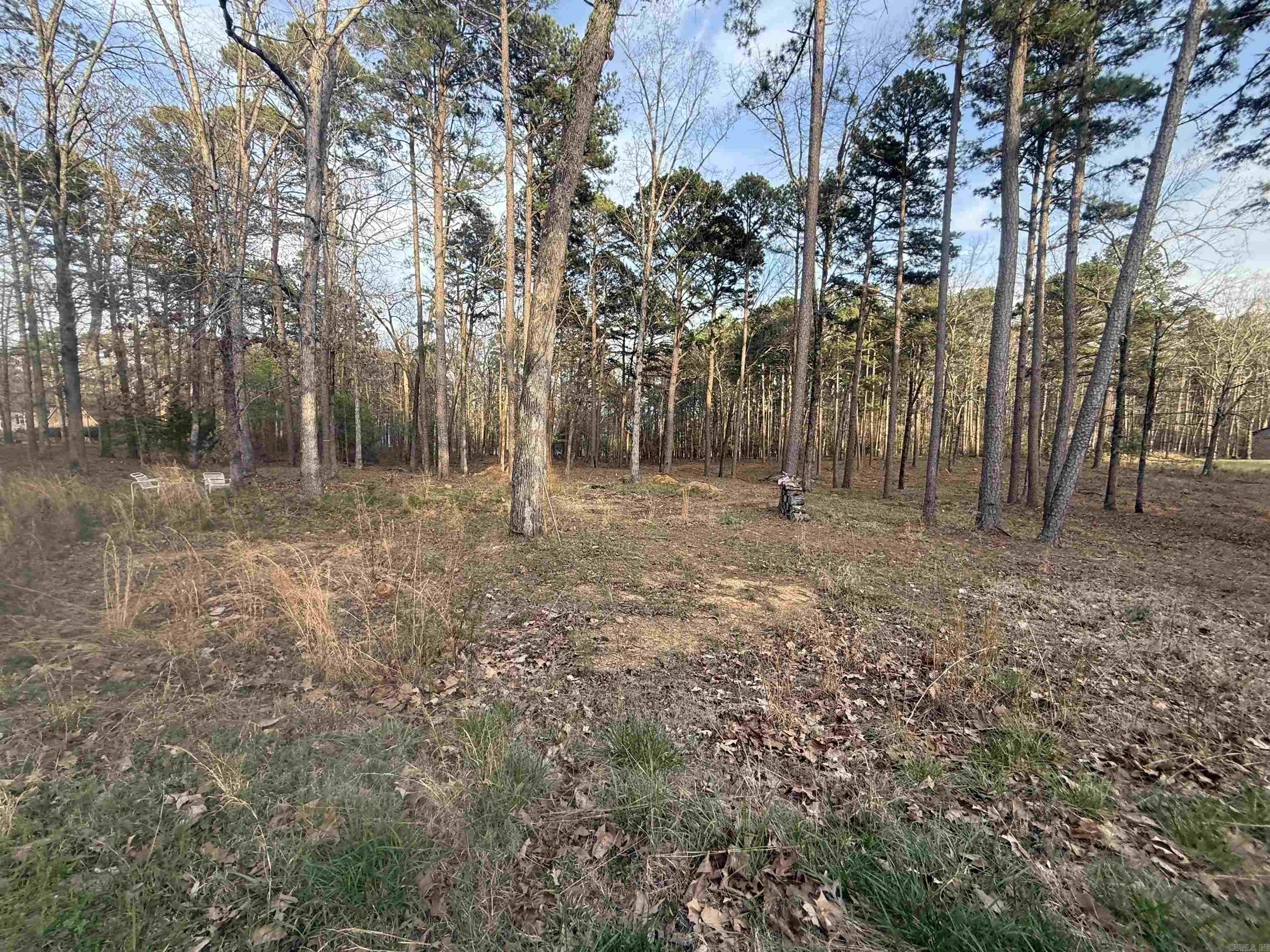 East Shores at Tannenbaum - Land