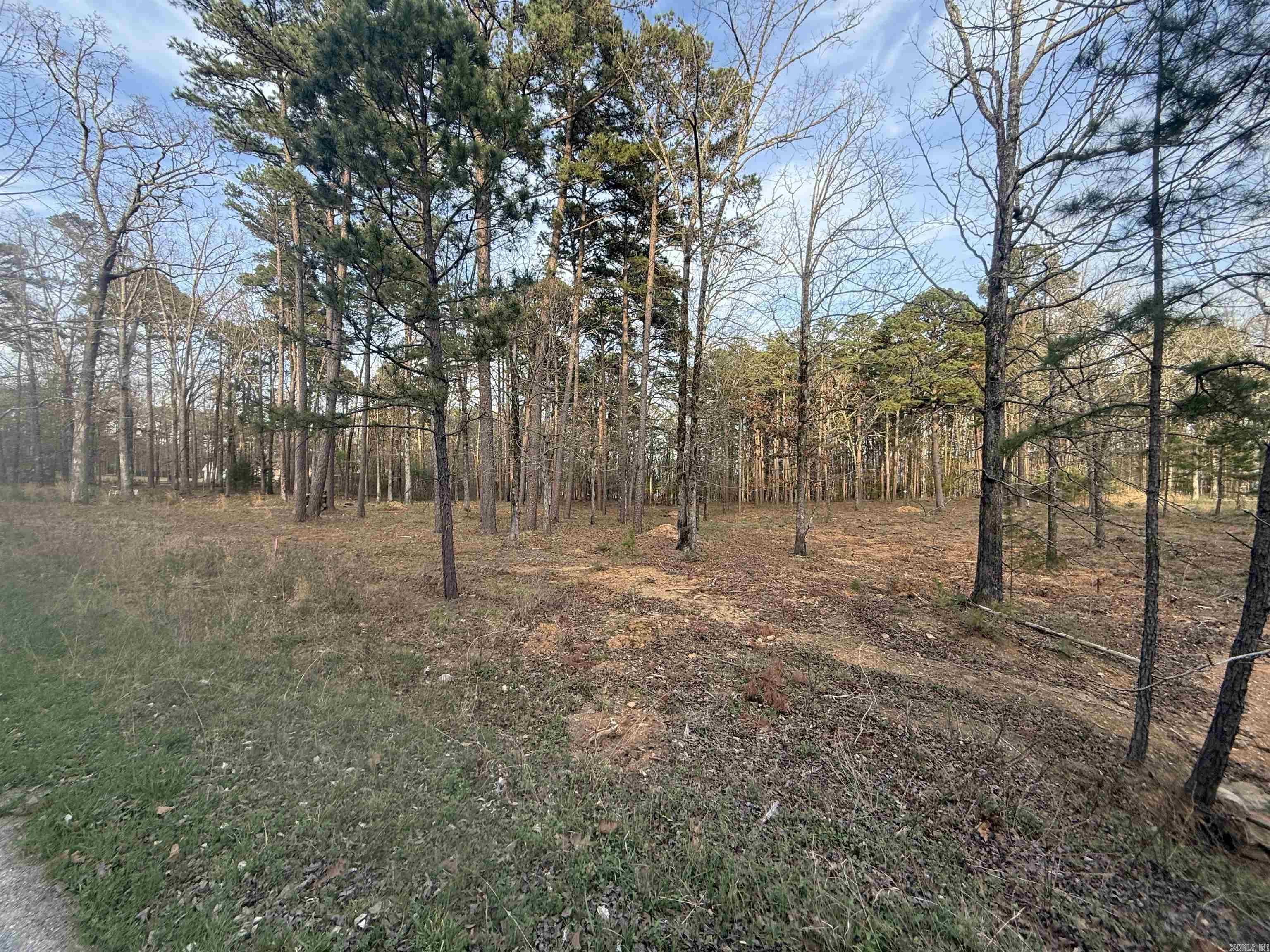 East Shores at Tannenbaum - Land