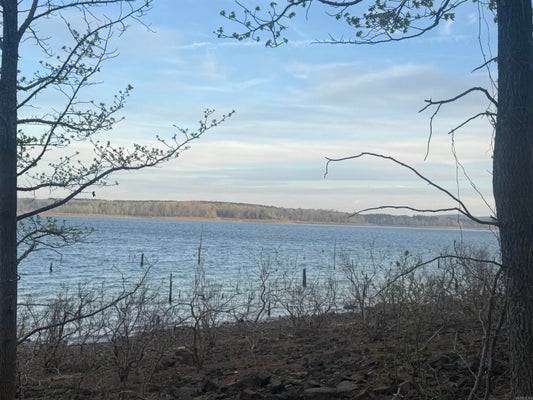 525 E SHORE DR, DRASCO, AR 72530 - Image c48982cfcc927dfded2c7ed4055db456/4128551681