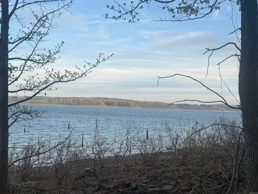 Two premium lakefront lots in the desirable Tannenbaum Subdivision offering an exceptional opportunity to build or invest. These two adjoining legal parcels provide added space and flexibility for a custom lake home, vacation retreat, or future development.  Situated along the shoreline of Greers Ferry Lake, the property features scenic water views, a gentle slope to the water, and convenient access to nearby amenities. Utilities, including water, electric, and sewer, are available nearby to support your building plans.   Located just minutes from the Tannenbaum Golf Course and community airstrip, this property combines the tranquility of lake living with added convenience for golf enthusiasts and fly-in owners. A rare opportunity to own multiple lakefront lots in one of the area’s most sought-after communities.