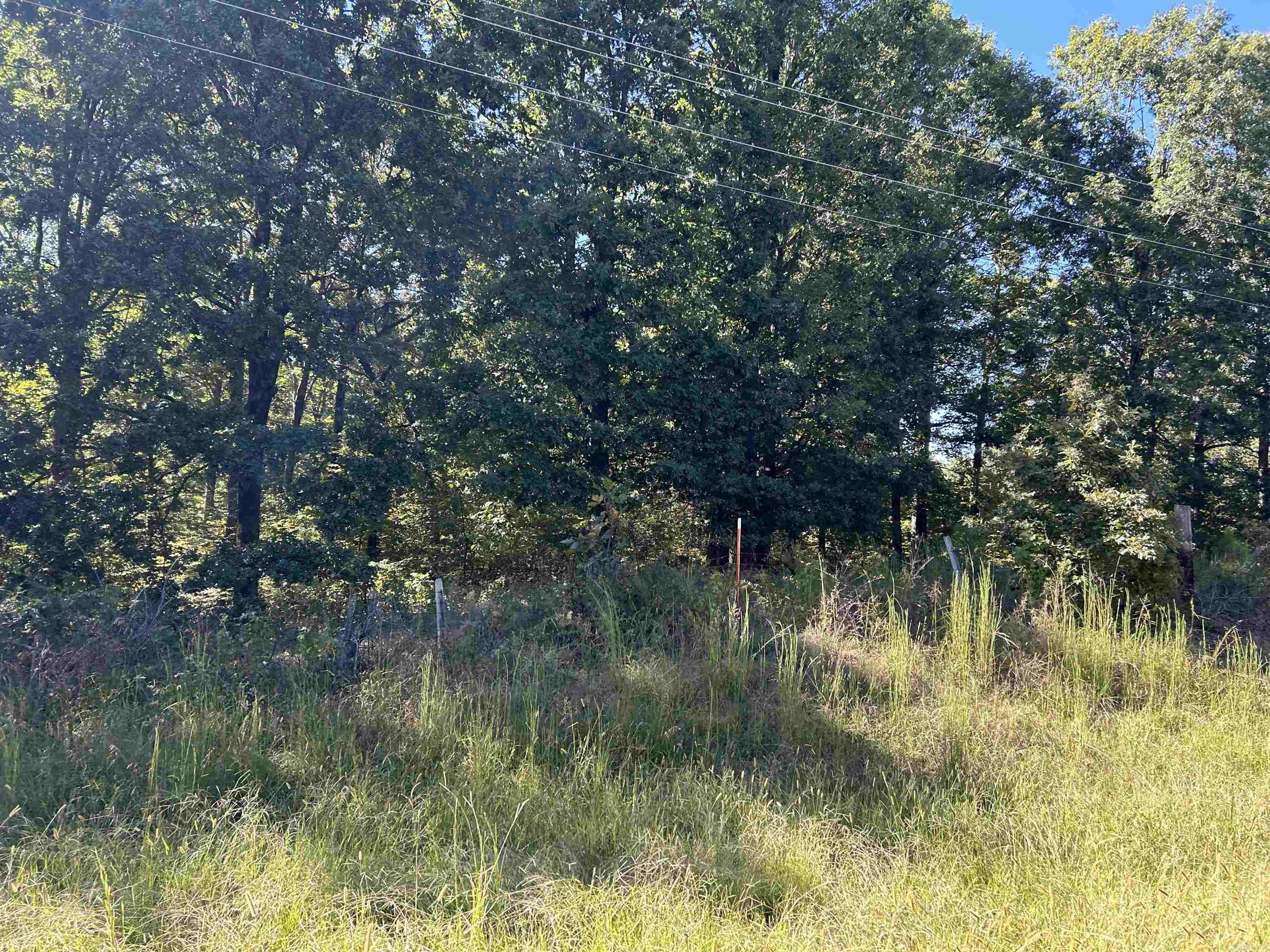 Welcome to market a beautiful 3.08 +/- acre property near Village Creek State Park! It features lots of beautiful sprawling trees, with potential as an ideal home site.