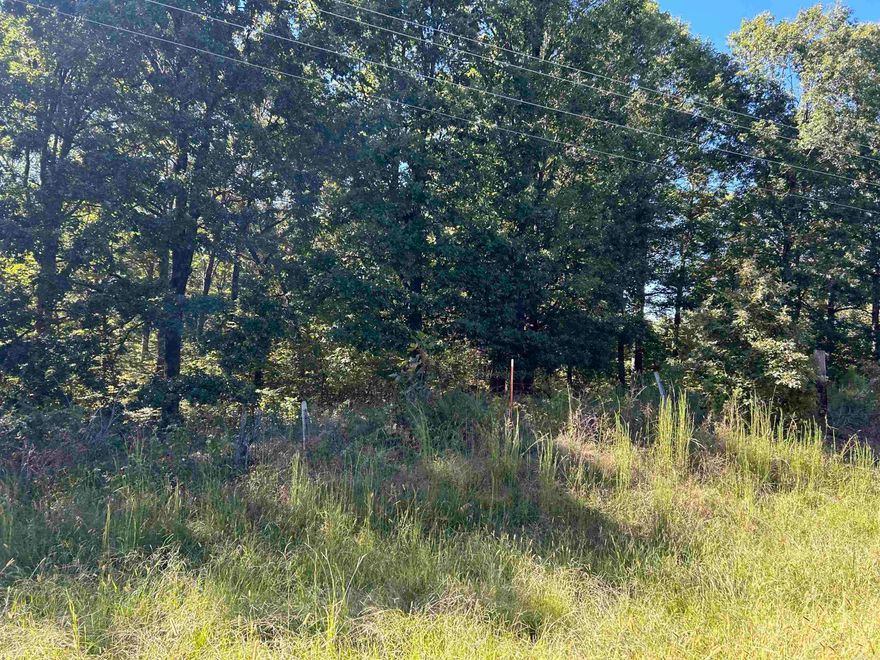 Welcome to market a beautiful 3.08 +/- acre property near Village Creek State Park! It features lots of beautiful sprawling trees, with potential as an ideal home site.