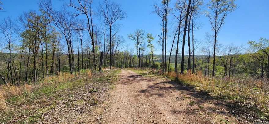 New survey in 2024. County road frontage on both sides of Grandpa Jones Road with two building sites. Driveway to the building site on top of the mountain with a 210-degree scenic view. Several scenic views along the county road with distant ridgeline and valley views. Level & sloped land suitable for numerous activities. Mature hardwood trees to harvest, or for hunting. Utilities are only ½ mile from property, and cell service is available already. Located close to Blanchard Caverns, White River trout fishing, Horseback riding. Sylamore creek canoeing, and a short drive to the Town Square in Mountain View for Folk music.  No Restrictions. This property is rich with opportunities if you are into building cabins for an Airbnb/Vrbo business, or several places to set up a hunting club, or a personal dream of building on top of a mountain with all the southward facing scenic views.
