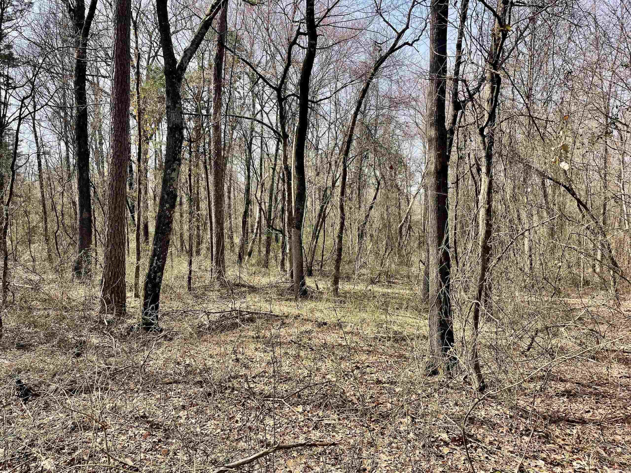 Not in Subdivision - Land