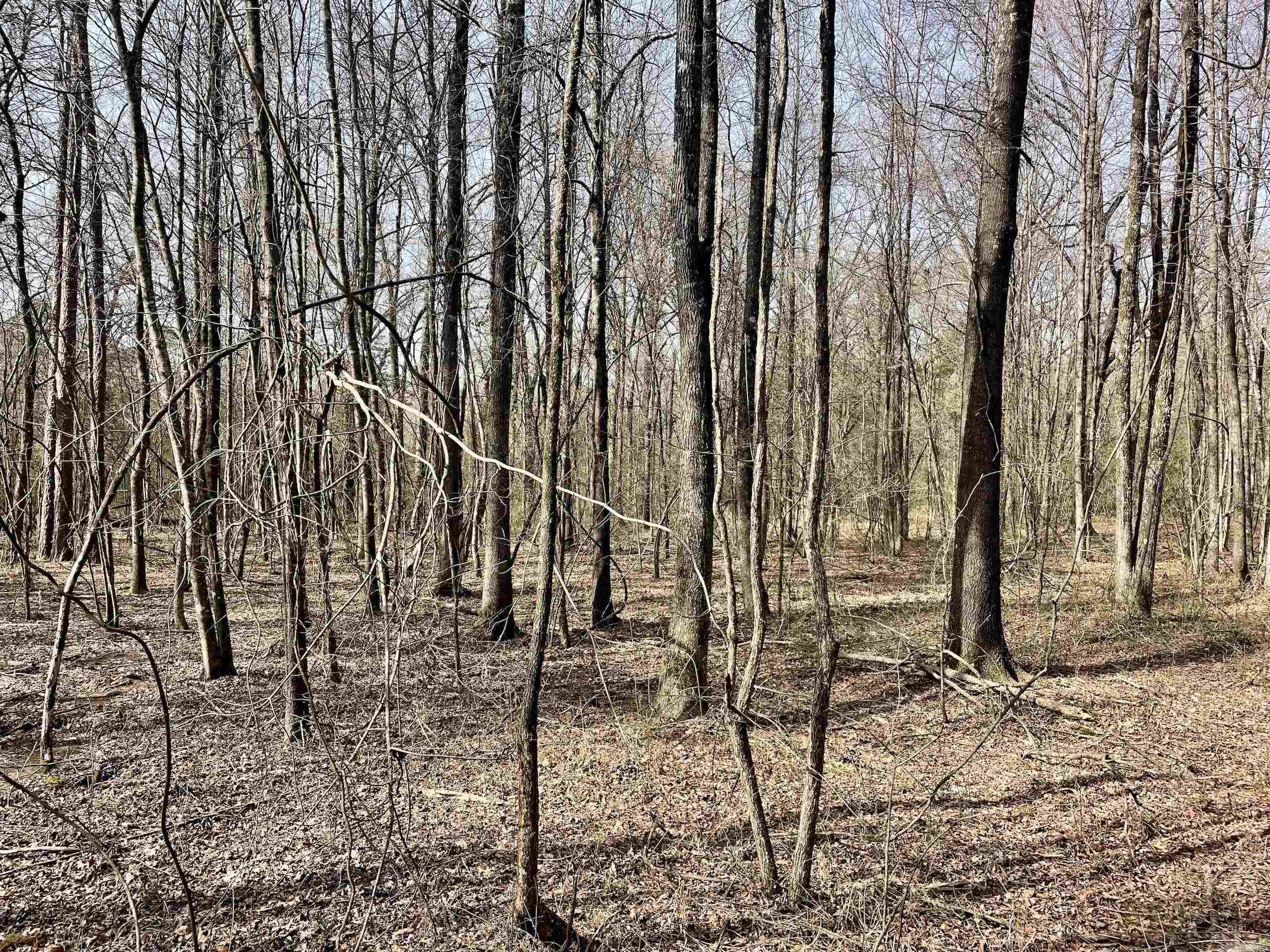 Not in Subdivision - Land