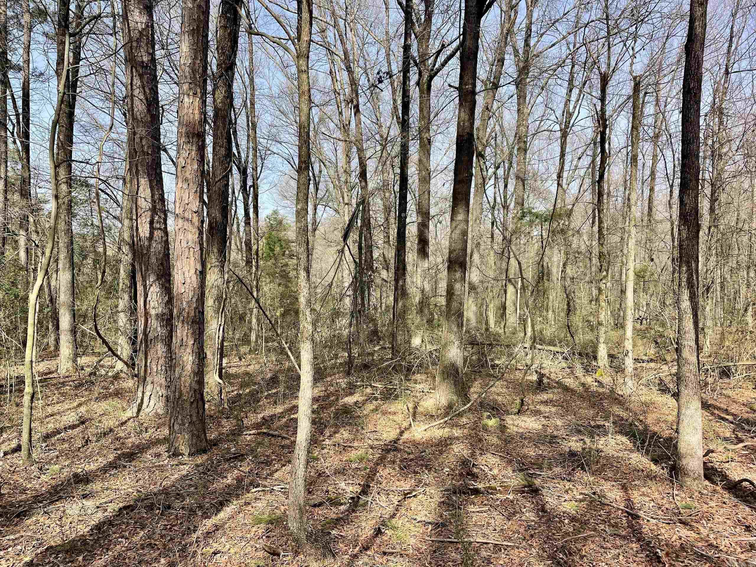 Not in Subdivision - Land