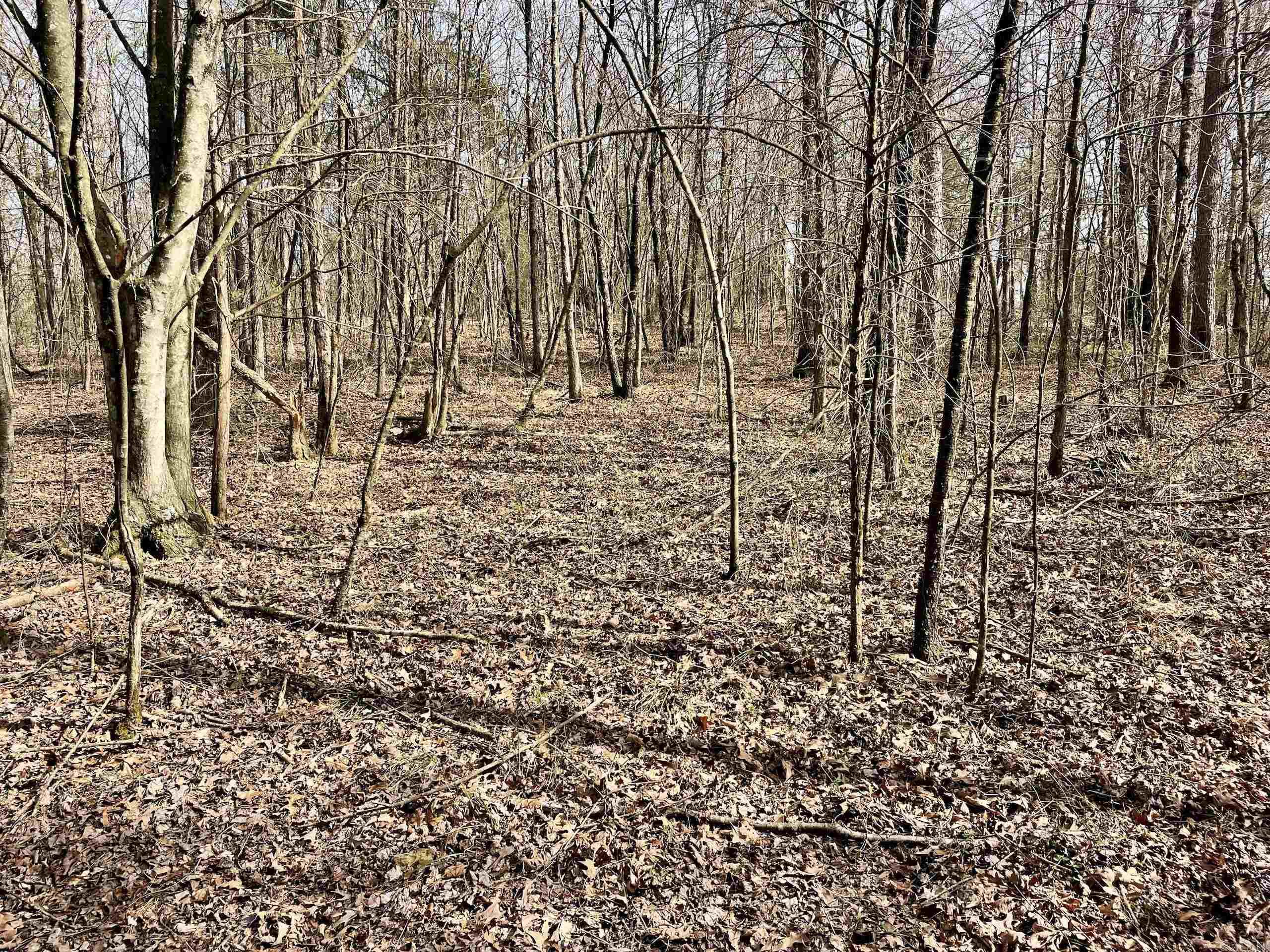 Not in Subdivision - Land