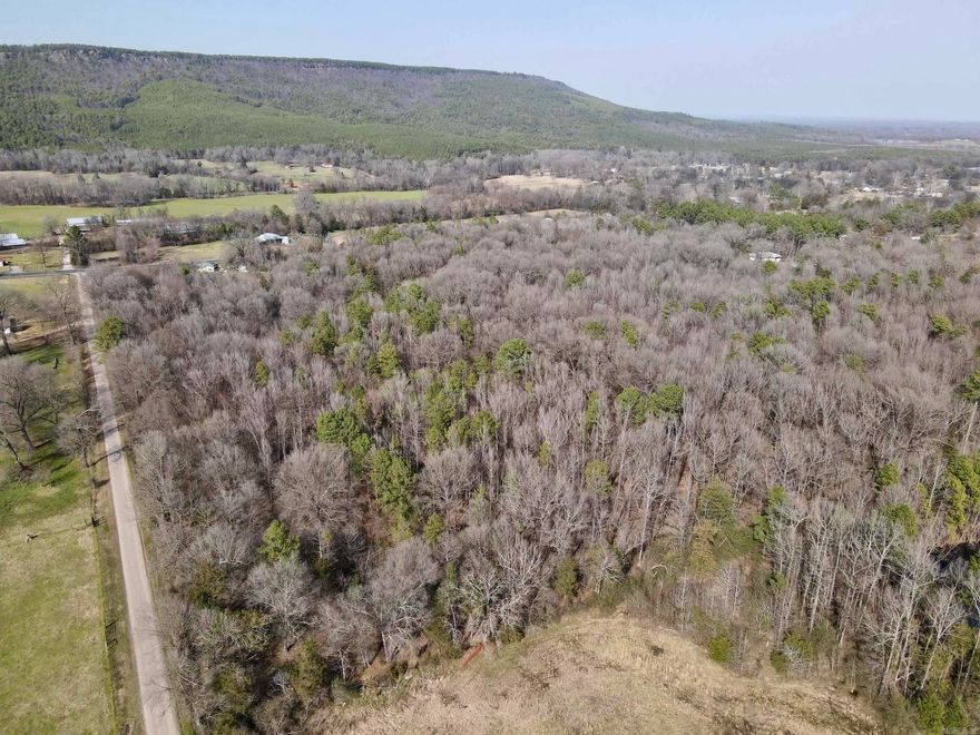 Discover this exceptional property in a prime location with road frontage on three sides. This cherished family homestead, held for generations, offers a rare opportunity to own a piece of history with breathtaking views of Petit Jean Mountain. The land features mature timber, providing a natural setting and a rich habitat for wildlife, including deer and turkey. Several ideal building sites are available, perfect for creating your dream home or a secluded getaway.  Modern conveniences are already in place, and electricity, water, and optic fiber are available on-site. The combination of open spaces and wooded privacy makes this property ideal for both relaxation and recreation. A truly unique offering—schedule your tour today to experience the charm and potential of this historic homestead!