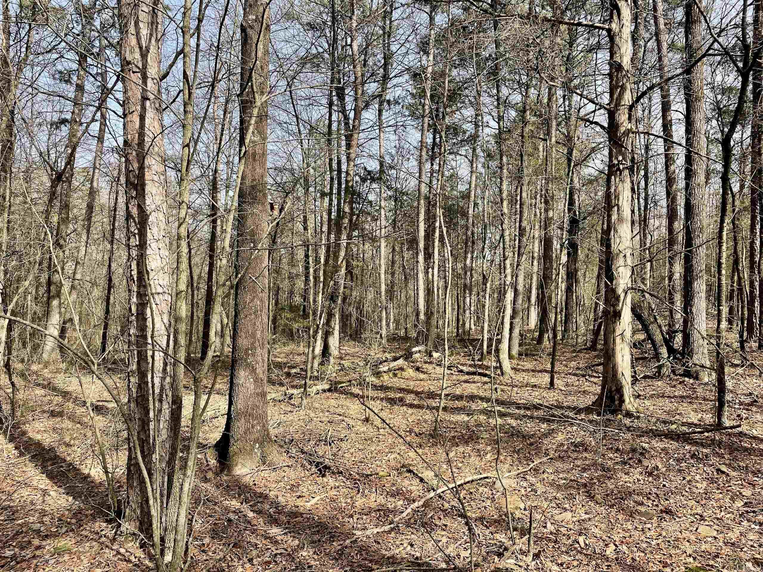 Not in Subdivision - Land