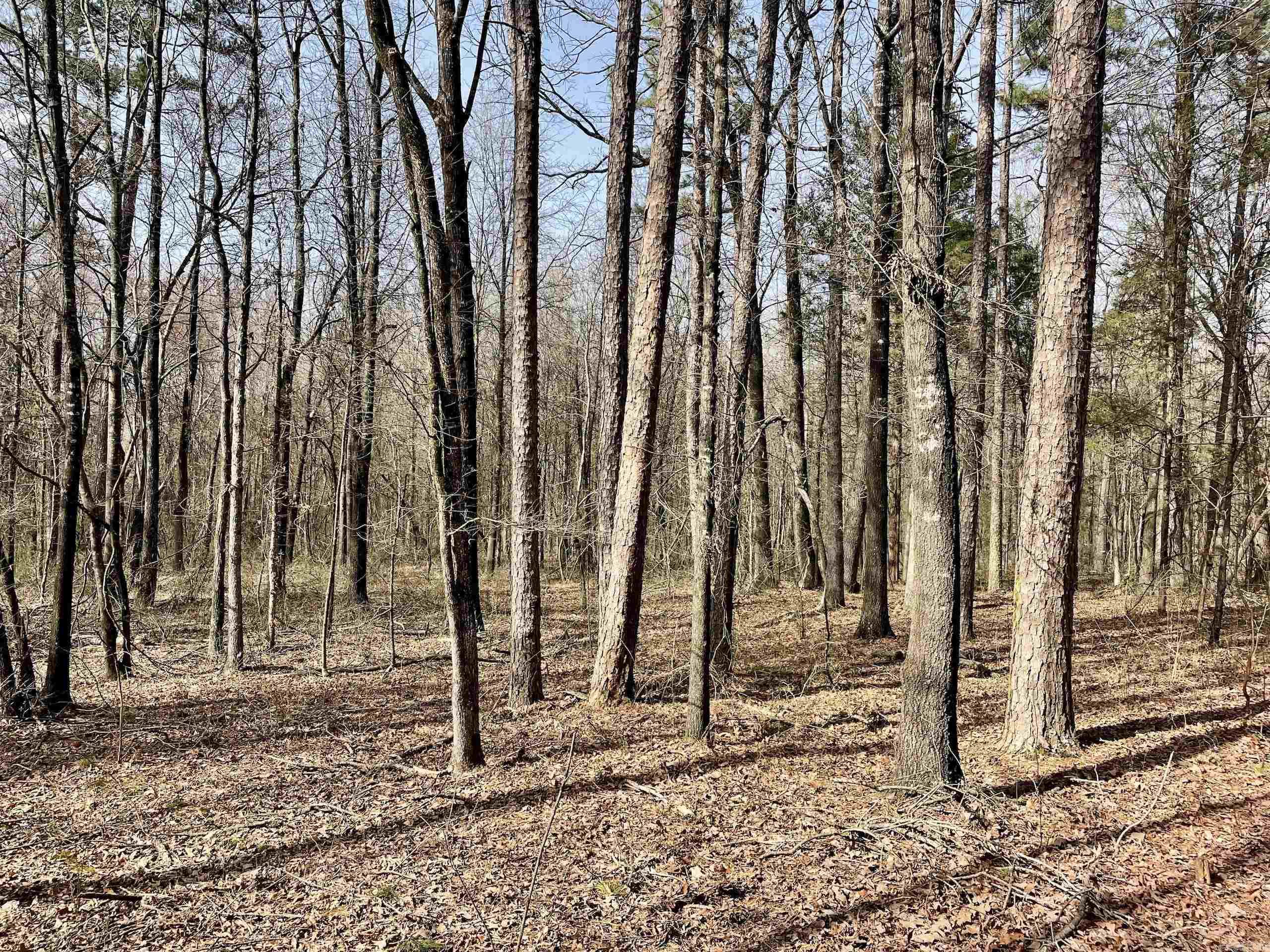 Not in Subdivision - Land