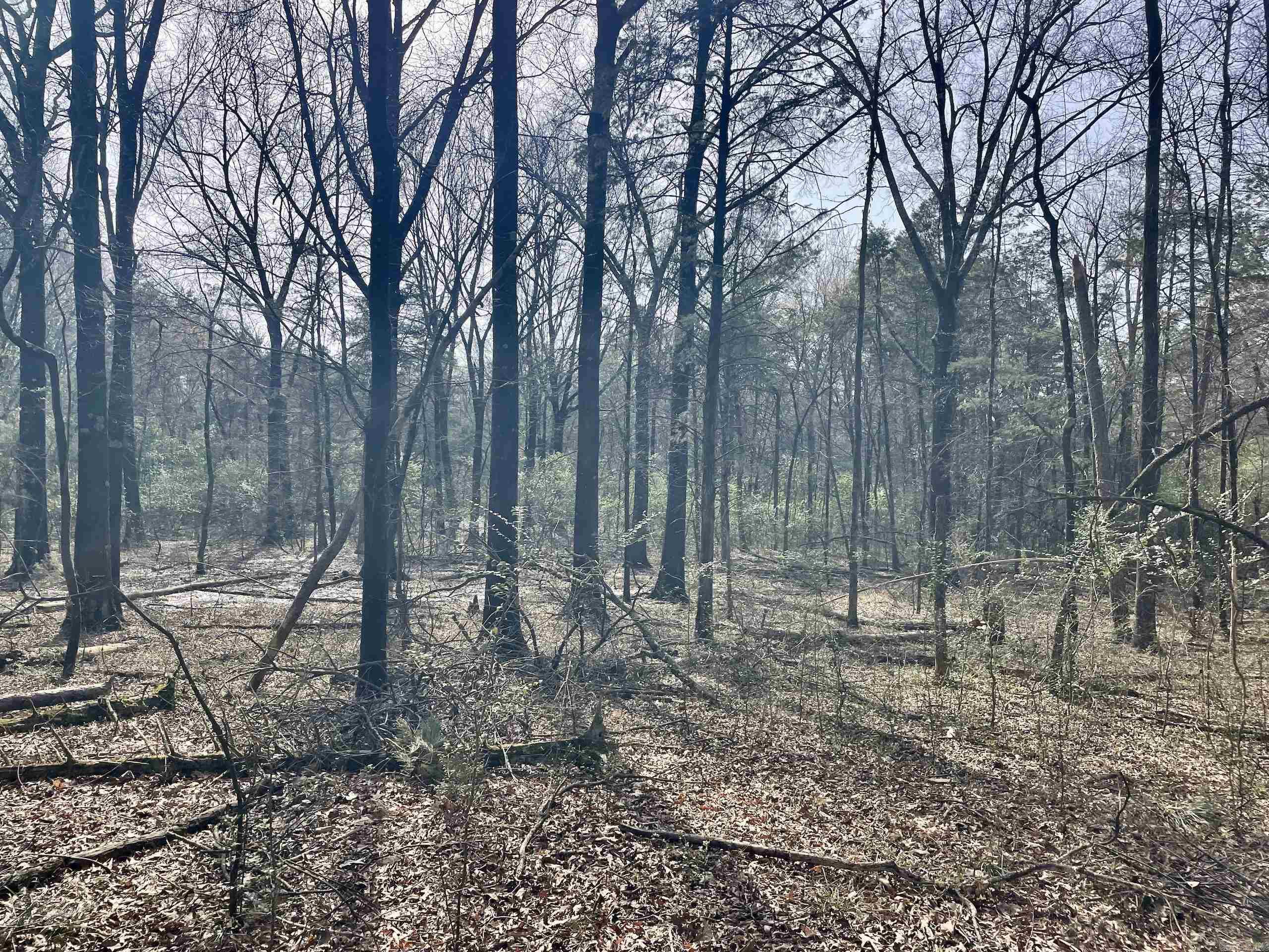 Not in Subdivision - Land