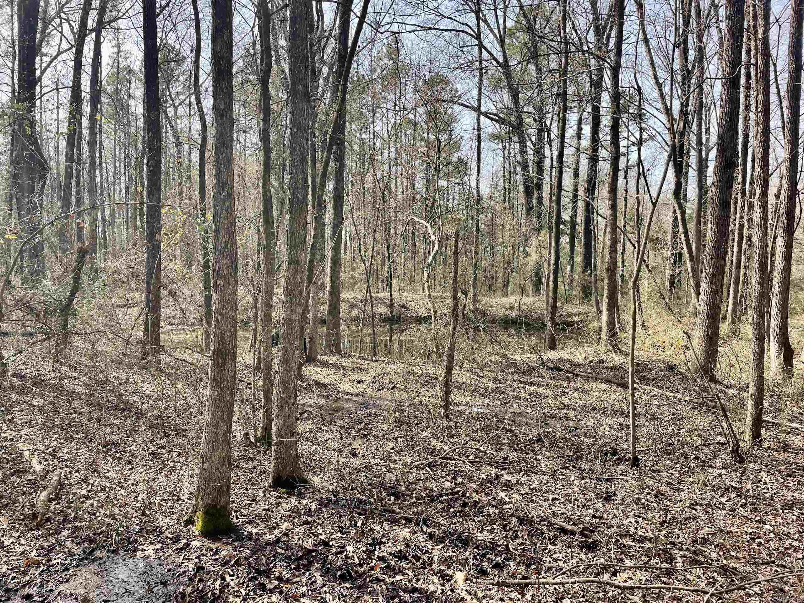 Not in Subdivision - Land