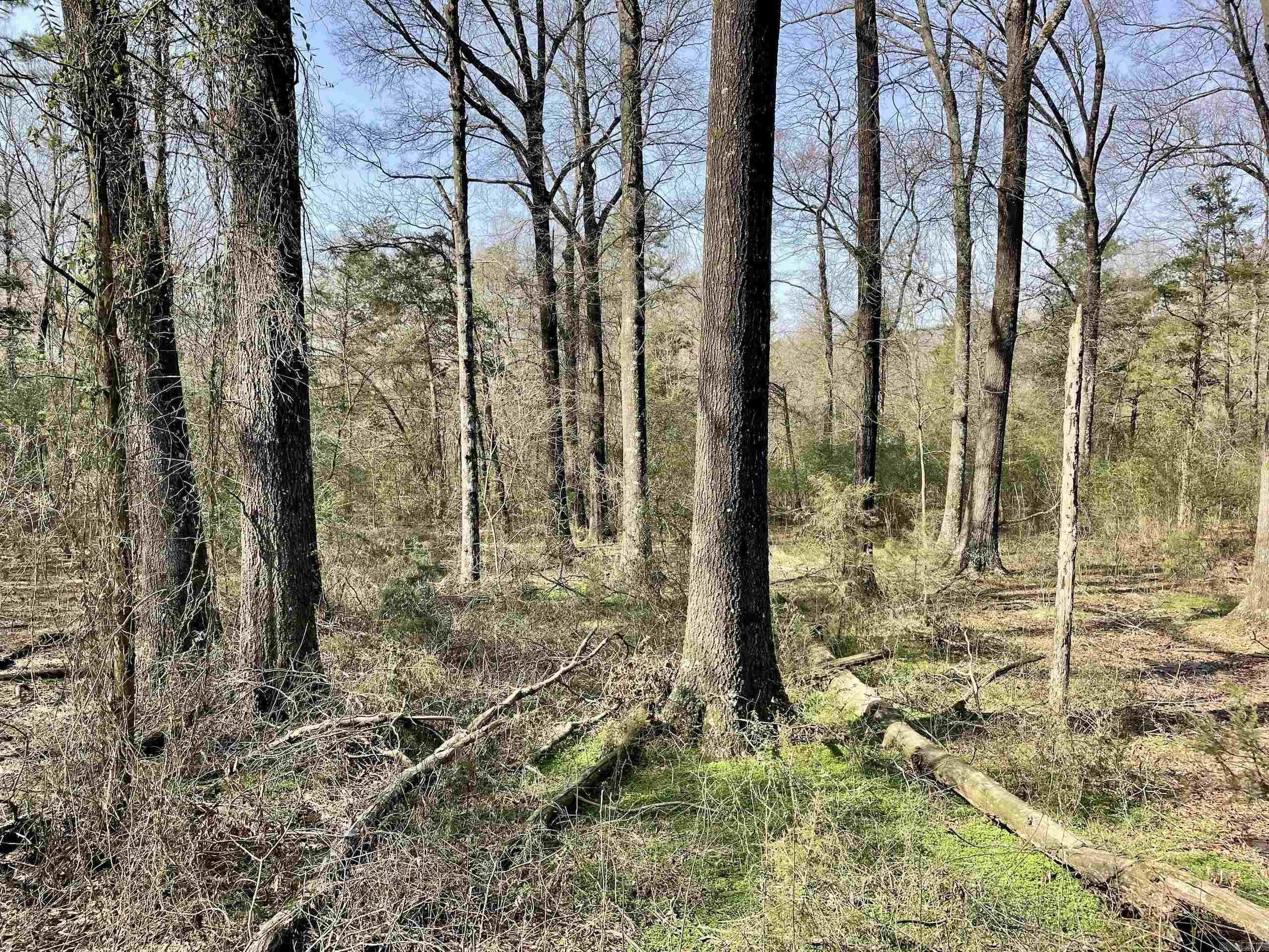 Not in Subdivision - Land