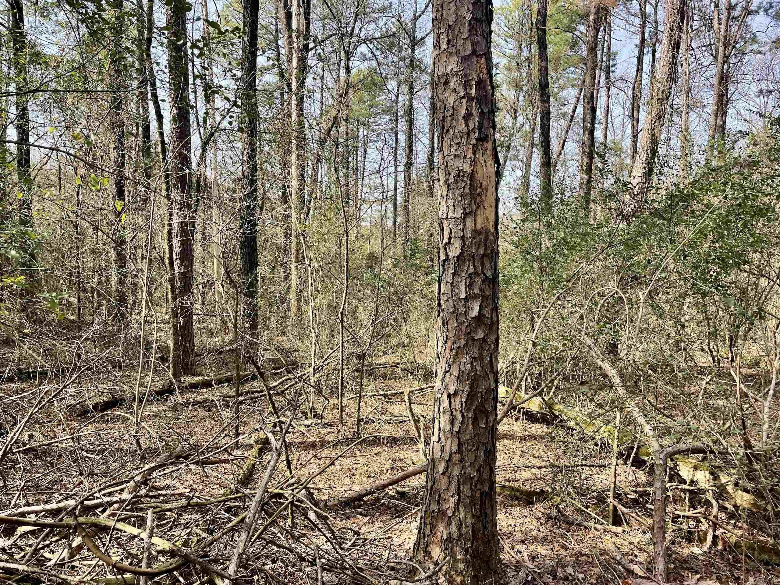 Not in Subdivision - Land