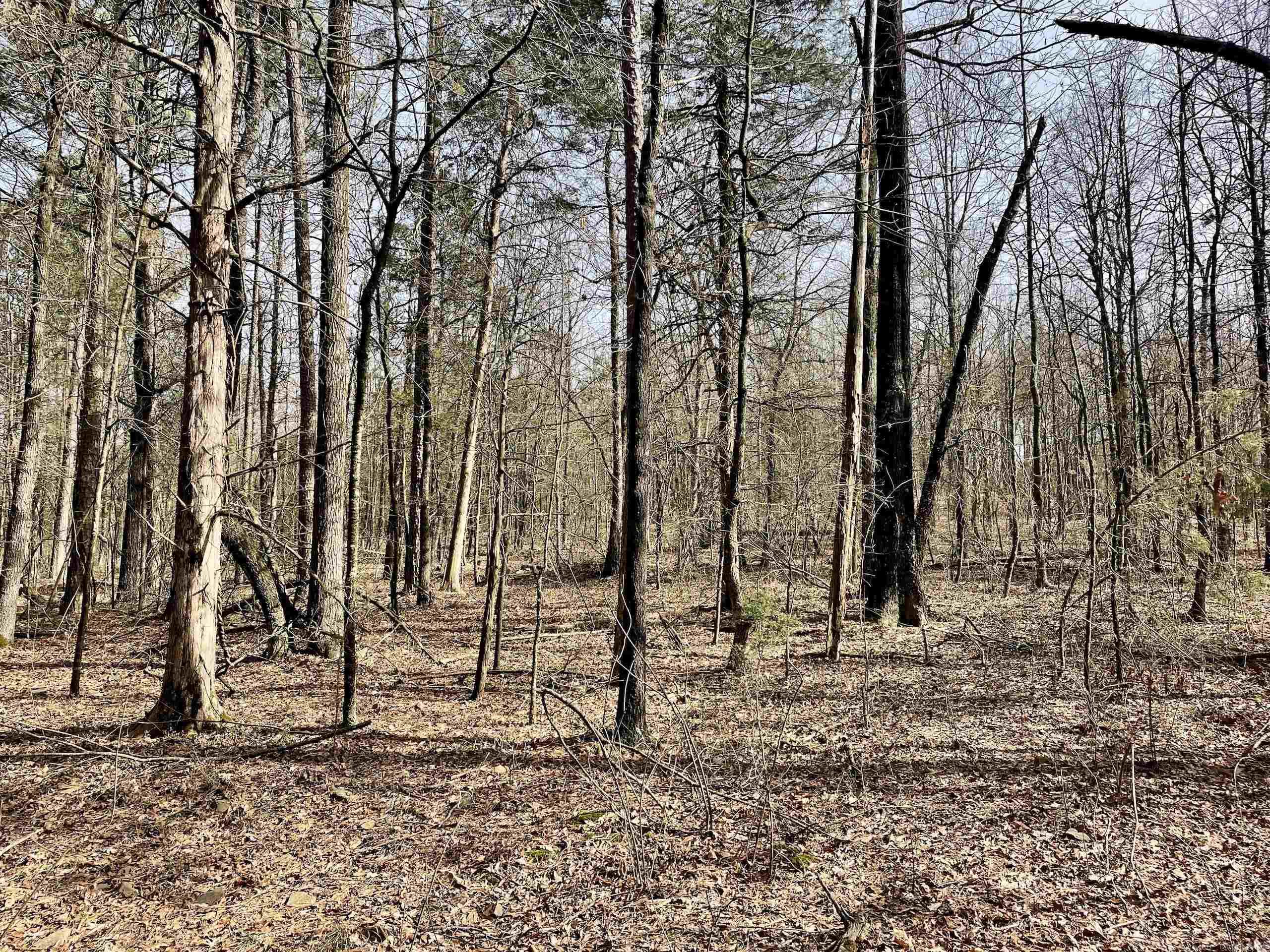 Not in Subdivision - Land