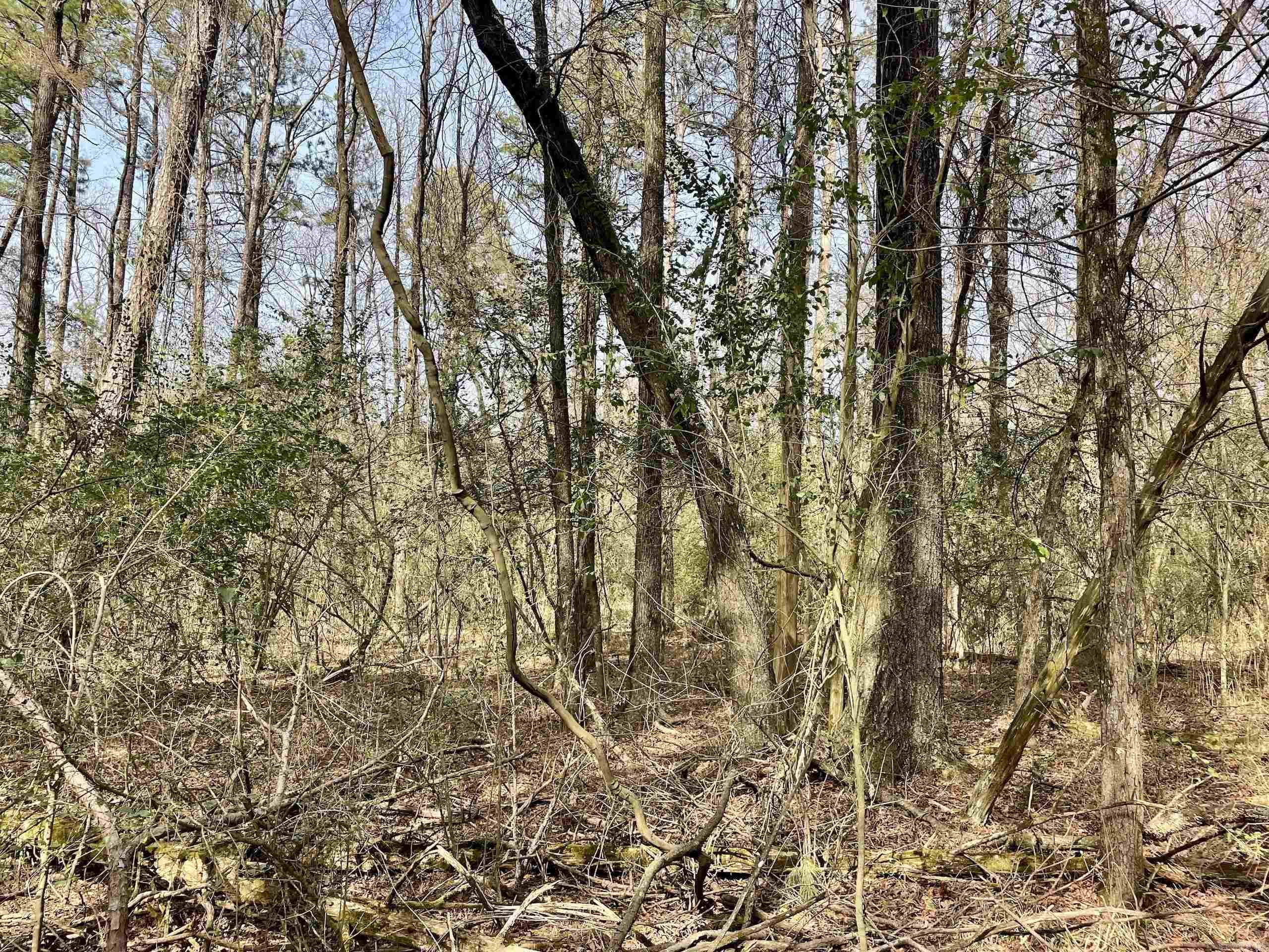 Not in Subdivision - Land