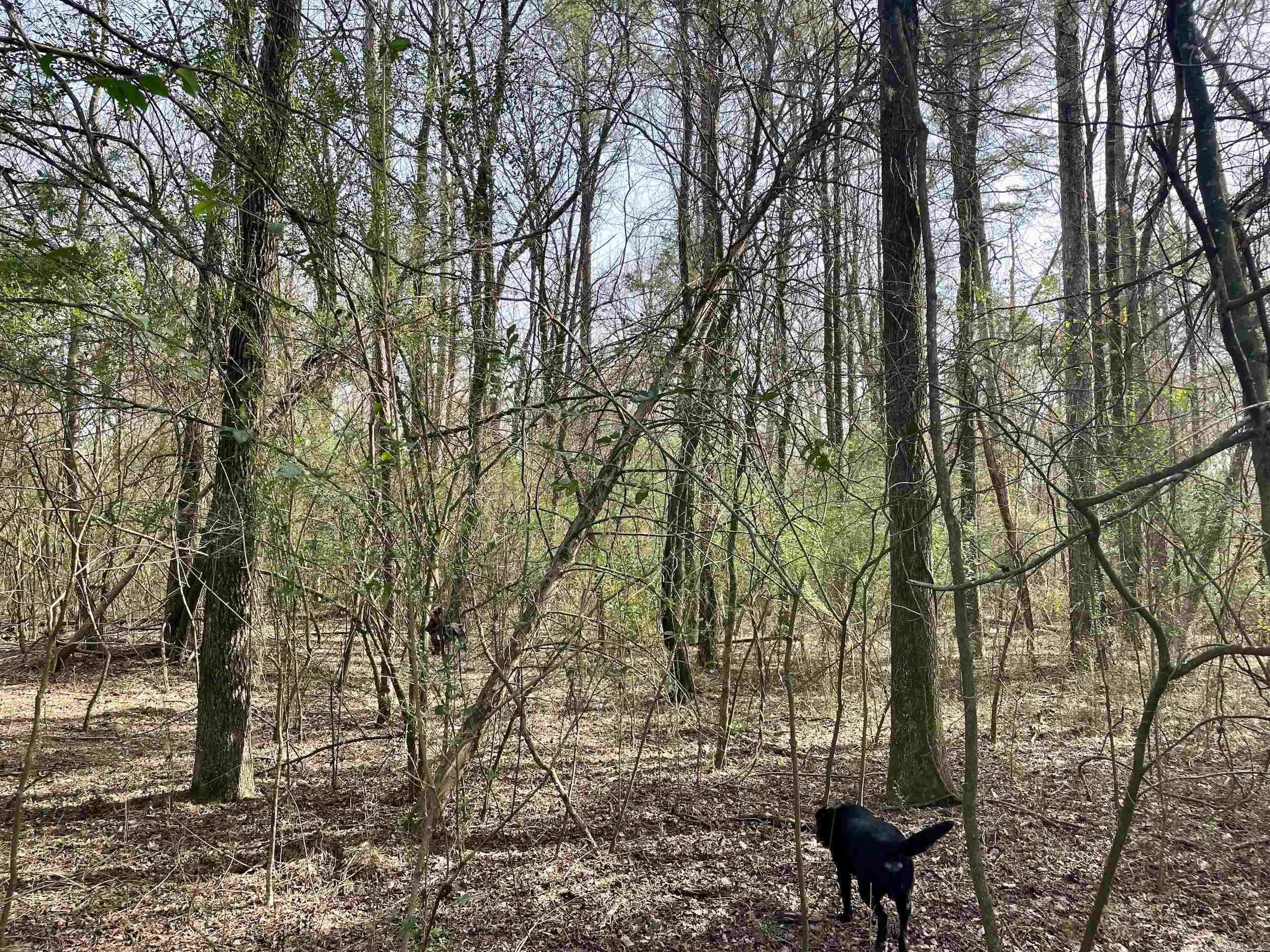 Not in Subdivision - Land