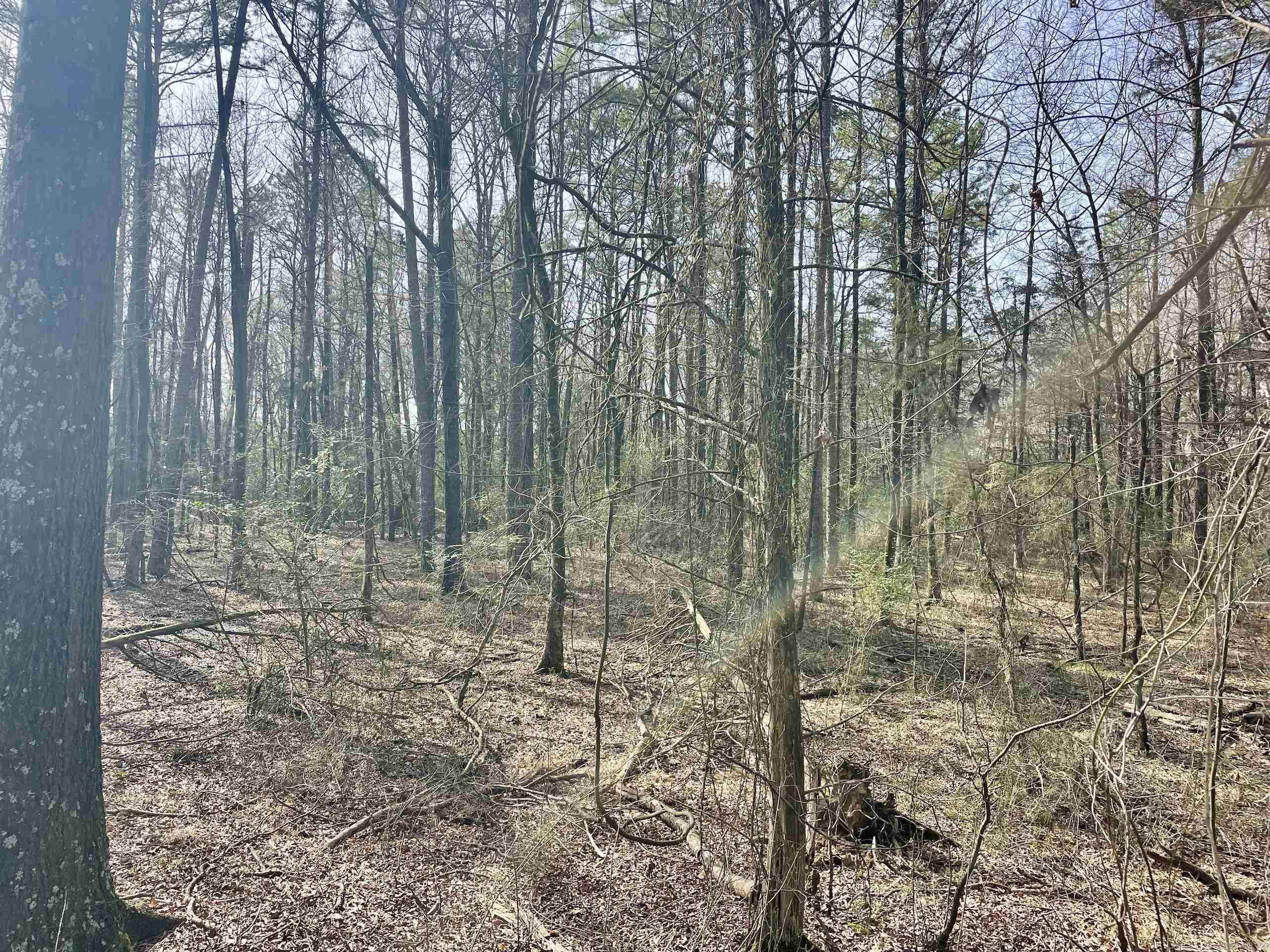 Not in Subdivision - Land