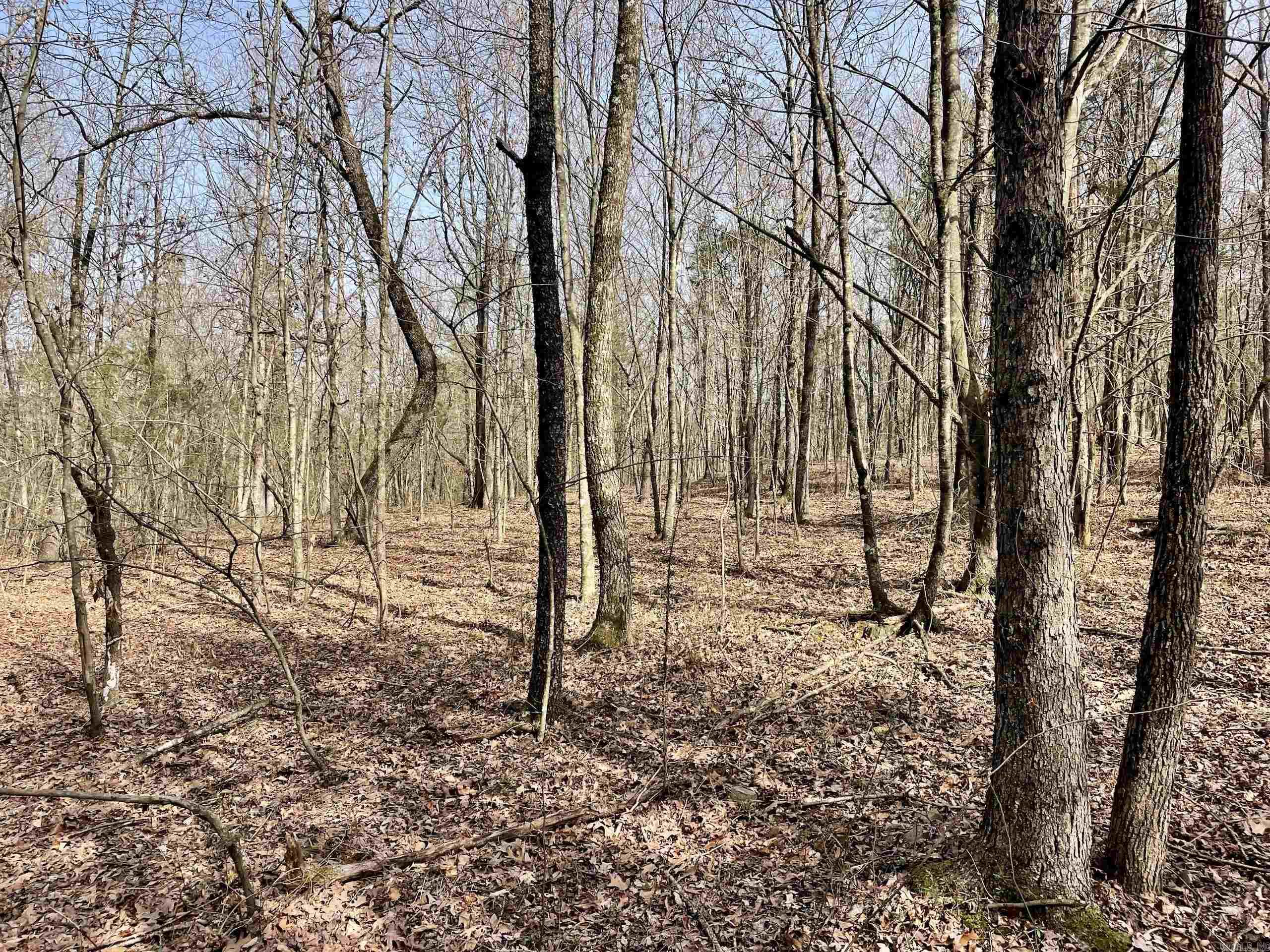 Not in Subdivision - Land