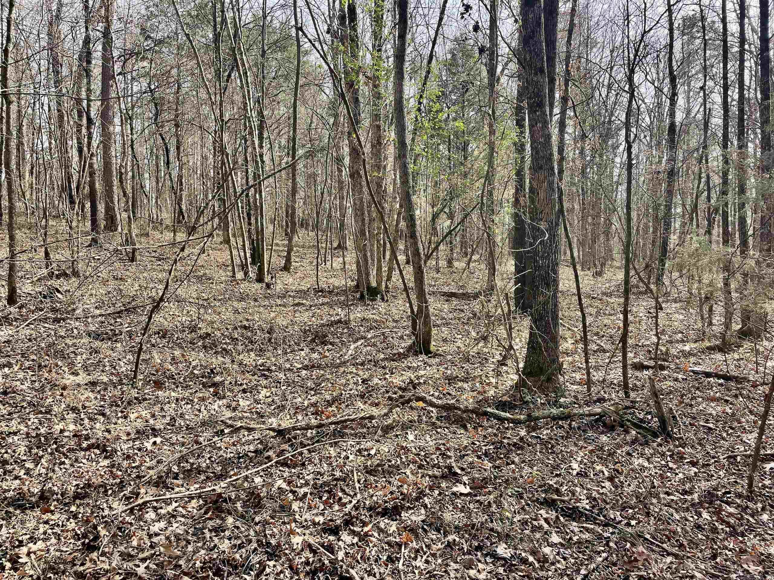 Not in Subdivision - Land