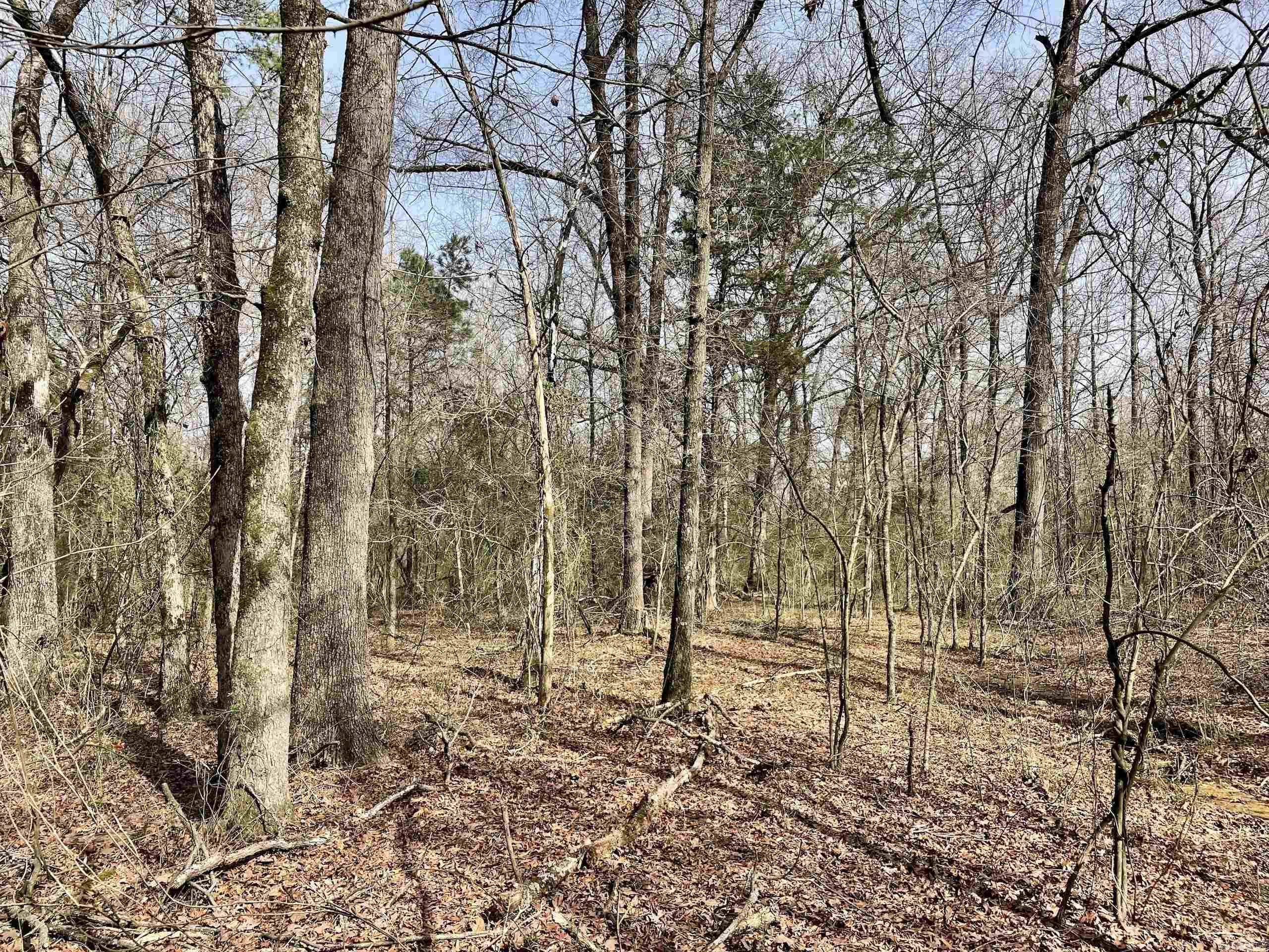 Not in Subdivision - Land