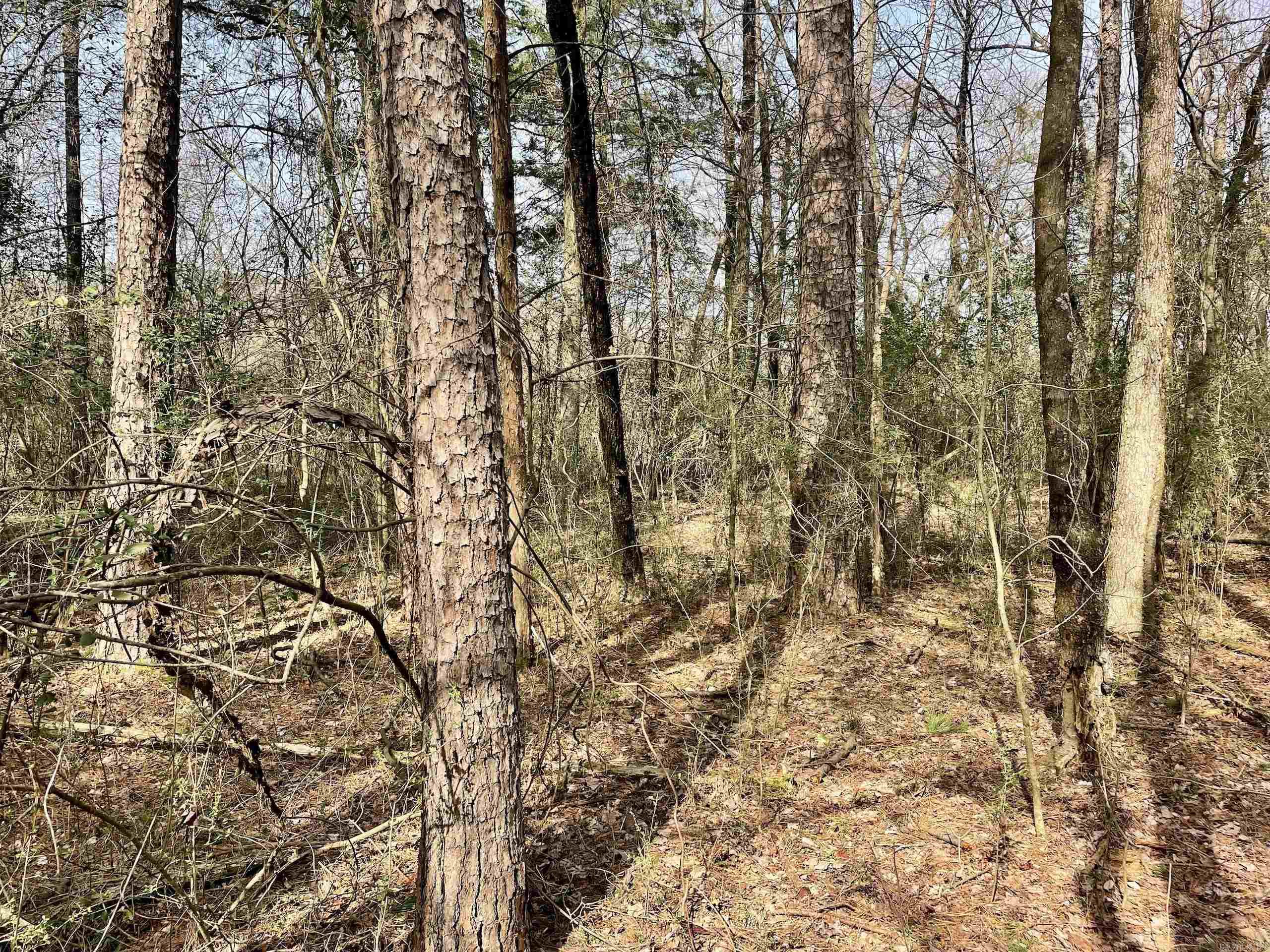 Not in Subdivision - Land