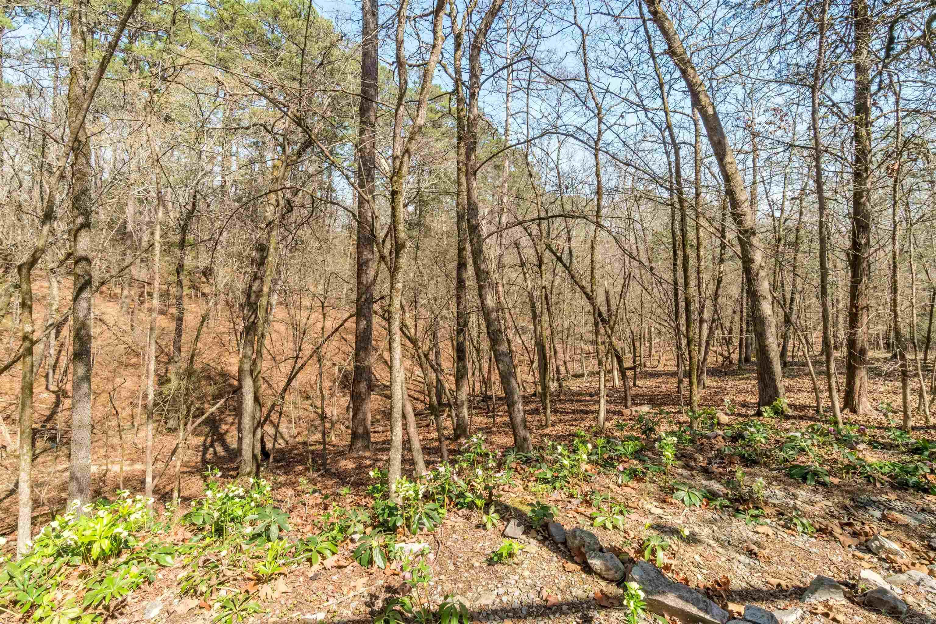 PERFECTO - Residential