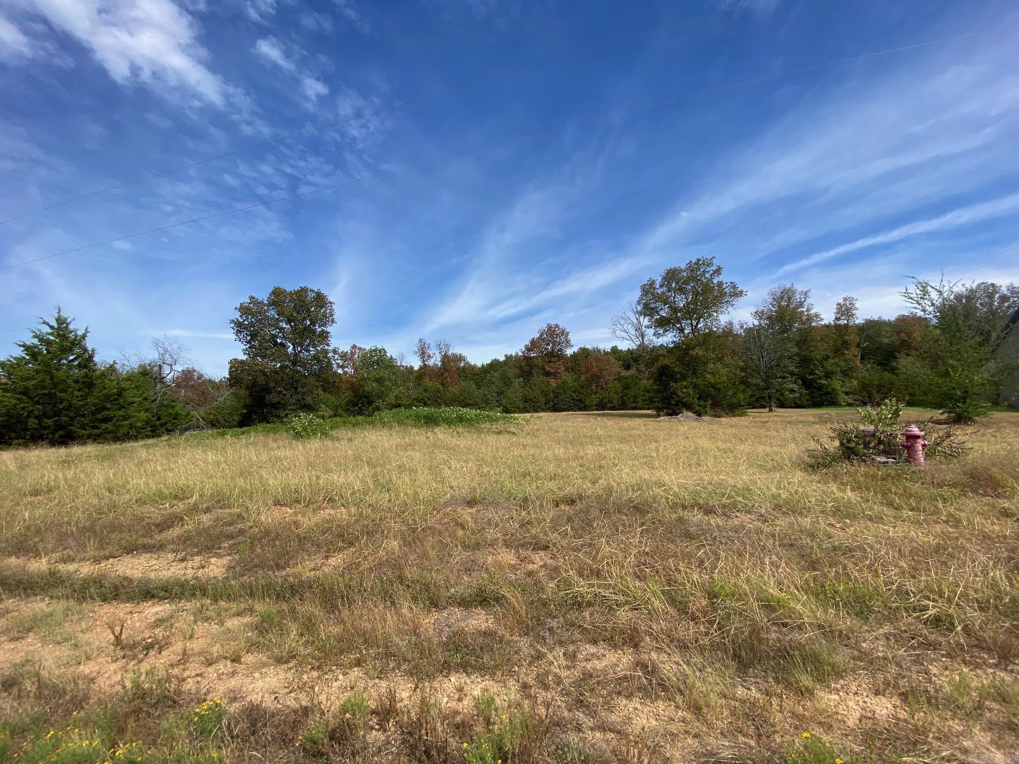 BEAUTIFUL 1 acre lot in Castlepines Subdivision. This subdivision sits on a ridge with a beautiful view and easy access to Hwy 65 and Hwy 25. Come check out this well established sub and you will want to build your dream home. Agents please see remarks