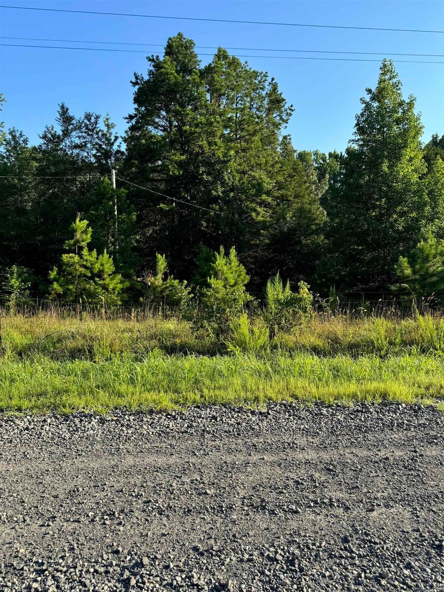 Enjoy the peacefulness that this wooded 10-acre tract has to offer.  Full of wildlife.  Deer and turkey are abundant. Property has all utilities on property.  Electric, septic, water.