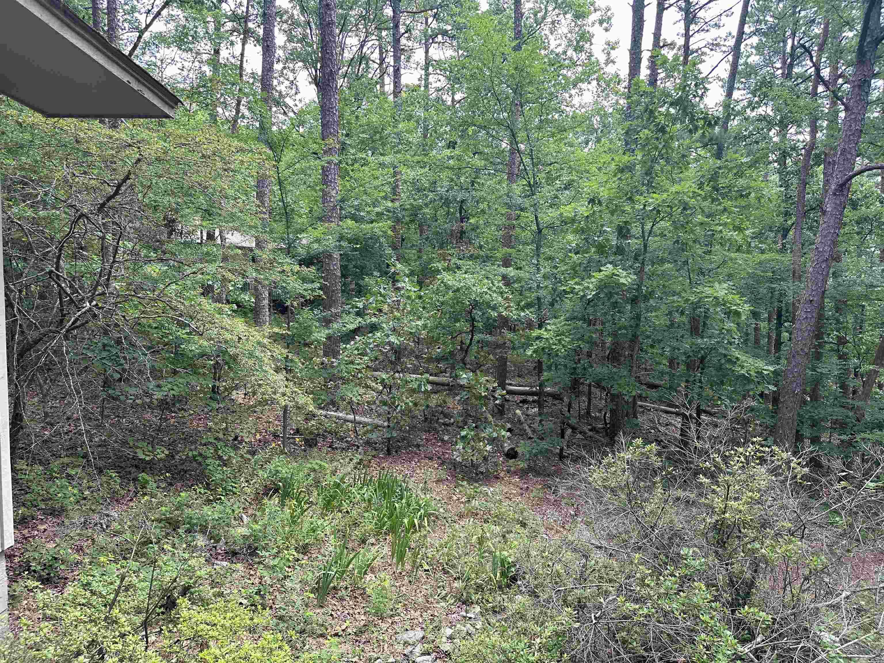 Colgadura - Residential