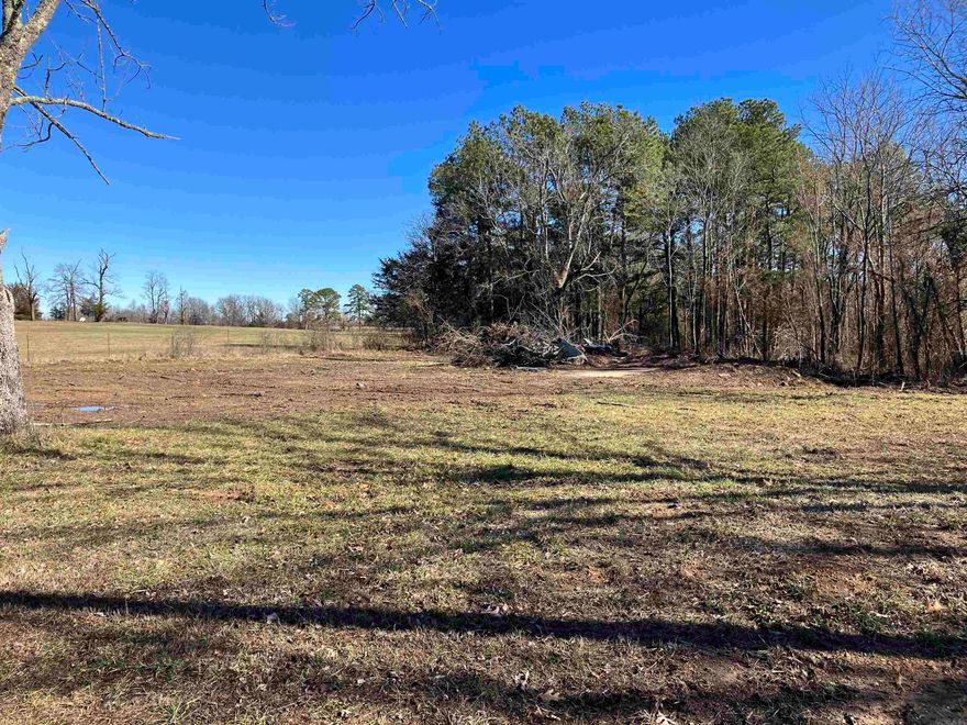 Prime lot located on Scenic Hwy 21 in Ozone minutes from the Ozark National forest, creeks, hiking & ATV trails, hunting, & many other outdoor activities.  Level w/ water & electricity on site!  No known restrictions.  Deed states 127 feet of frontage & 300 feet deep (no survey).  Old septic & well on property - condition unknown.  Perfect location for a business w/ great visibility, a cabin in the woods, or custom home site!!!