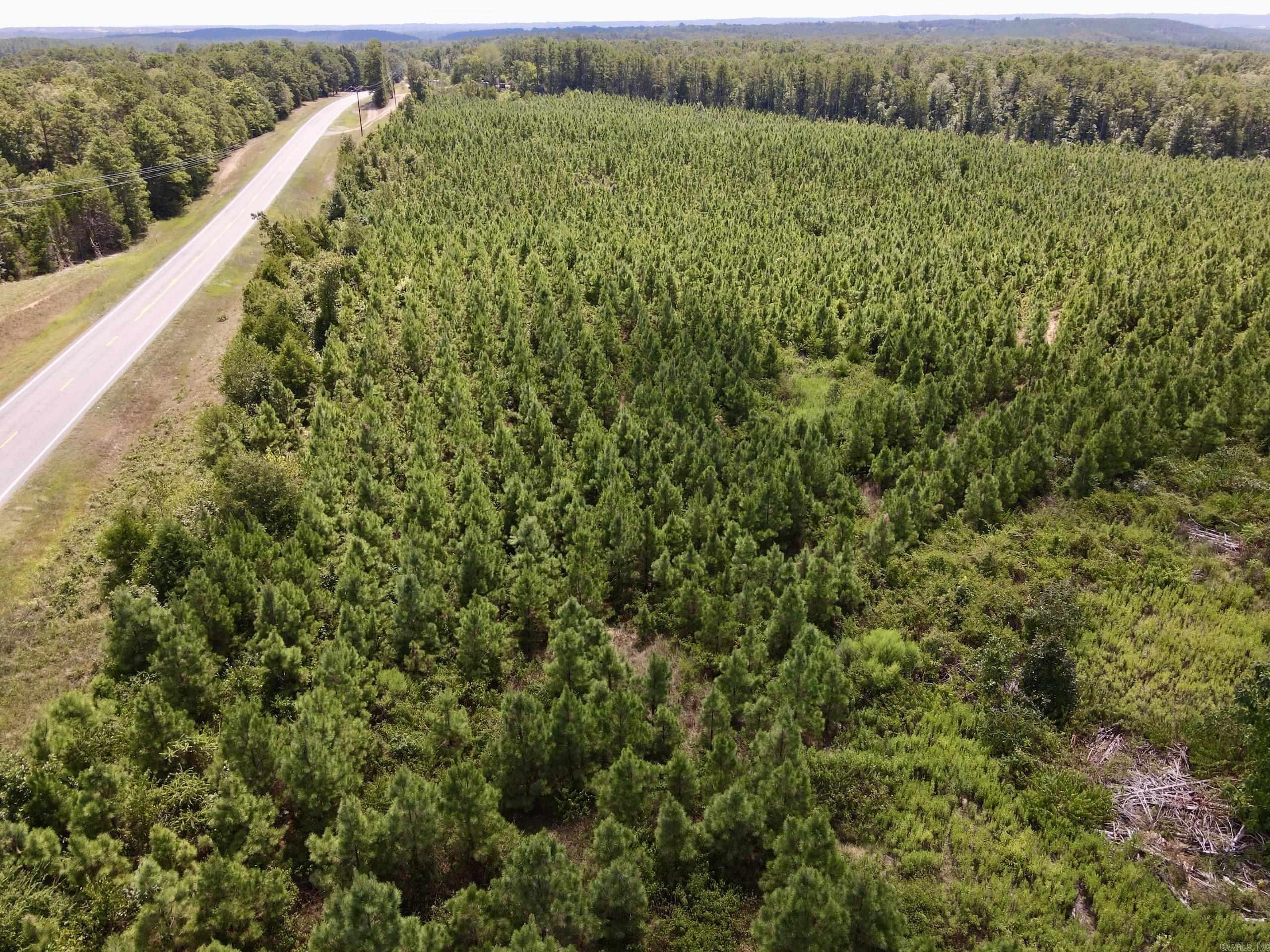 Located just south of Jerusalem, this attractive tract offers approximately one-quarter mile of frontage along State Highway 124, providing excellent access and visibility. The property is planted in a healthy, approximately seven-year-old pine plantation, creating a uniform and visually appealing landscape that will continue to grow in both beauty and value over time. All essential utilities are available along the highway frontage.