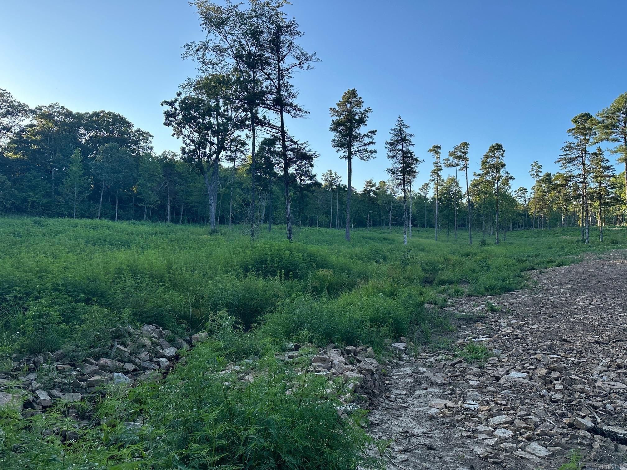 REALLY GREAT 25.84 ACRES BEING OF OR IN OFFERED IN ITS ENTIRETY FOR $5500/ACRE OR IN TWO TRACTS, ONE BEING 13.57 ACRES M/L & THE OTHER BEING 12.27 ACRES M/L FOR $6500/ACRE. ABOUT 18 ACRES OF IT IS A PARK-LIKE SETTING CREATED OUT OF A 100% WOODED TRACT BY THE OWNERS. OVER $20K SPENT ON CLEARING & DIRTWORK!!! LAYS GREAT WITH GRADUAL SLOPE DOWN & BACK UP AS YOU GO FROM WEST TO EAST & SLOPES GRADUALLY UP FROM SOUTH TO NORTH. PROPERTY LINES FRAMED IN WOODS ON ALL BOUNDARIES EXCEPT THE SOUTHERN EAST-WEST LINE TO CREATE PRIVACY FROM NEIGHBORS. MULTIPLE CABIN OR HOME SITES AND LAYS OUT GREAT FOR DEER/BEAR/TURKEY HUNTING. JOINS THE OZONE COMMUNITY CENTER & THE OZONE POST OFFICE ON ITS WESTERN BOUNDARY AND VERY NEAR MILES & MILES OF ATV ROADS & NATIONAL FOREST TRAILS AS WELL AS TENS OF THOUSANDS OF ACRES OF USFS NAT'L FOREST) LAND. SHORT DRIVE TO THE MULBERRY OR BUFFALO RIVERS AND CLARKSVILLE. GREAT PROPERTY WITH UNLIMITED POTENTIAL!!! OWNERS ALREADY RAN ELECTRICITY TO THE PROPERTY AND JUST ABOUT 350FT FROM A RURAL WATER MAIN, SO CITY WATER IS ATTAINABLE! SHOULDN'T BE ON THE MARKET LONG!