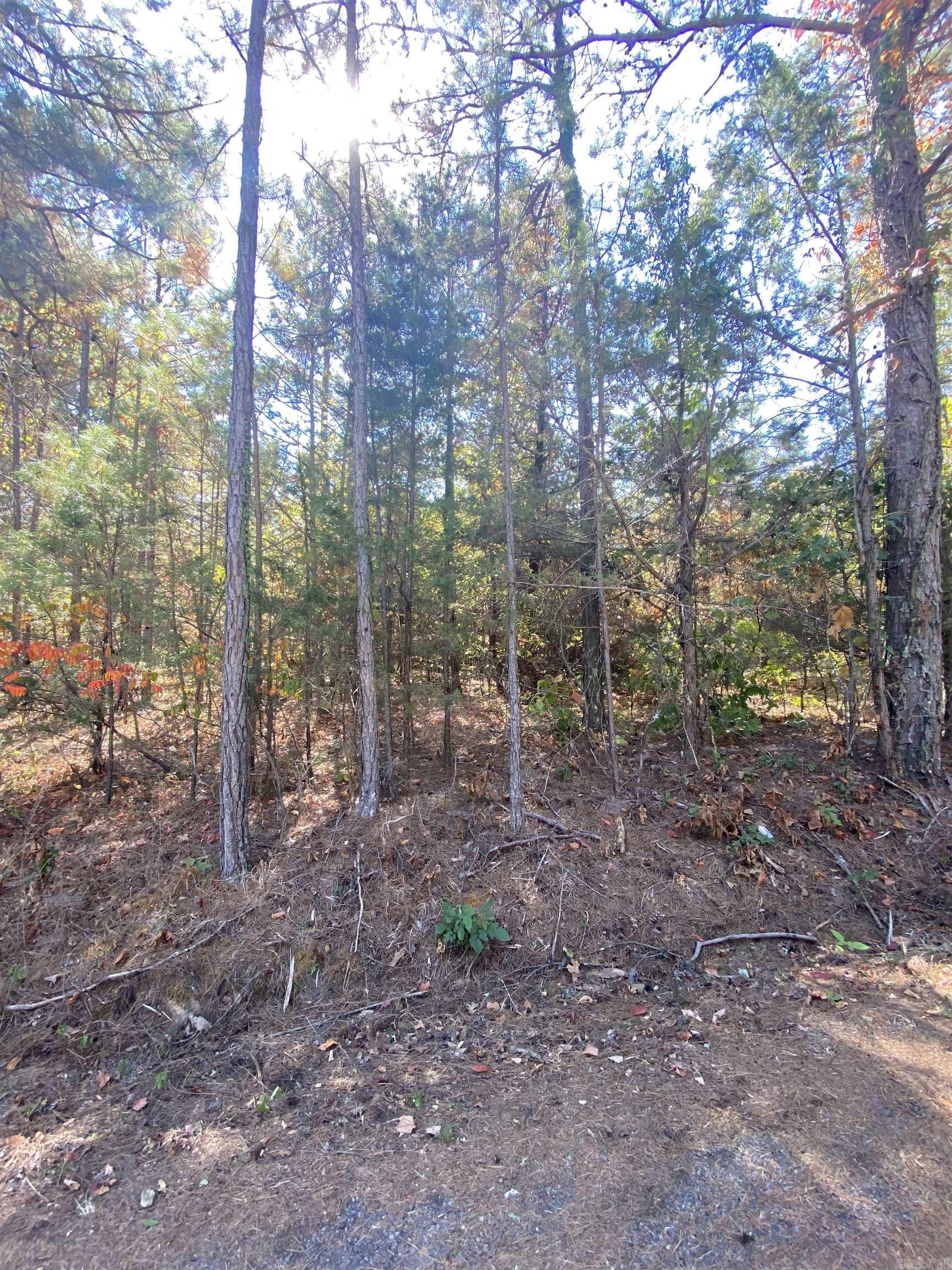 Twin Cove Estates - Land