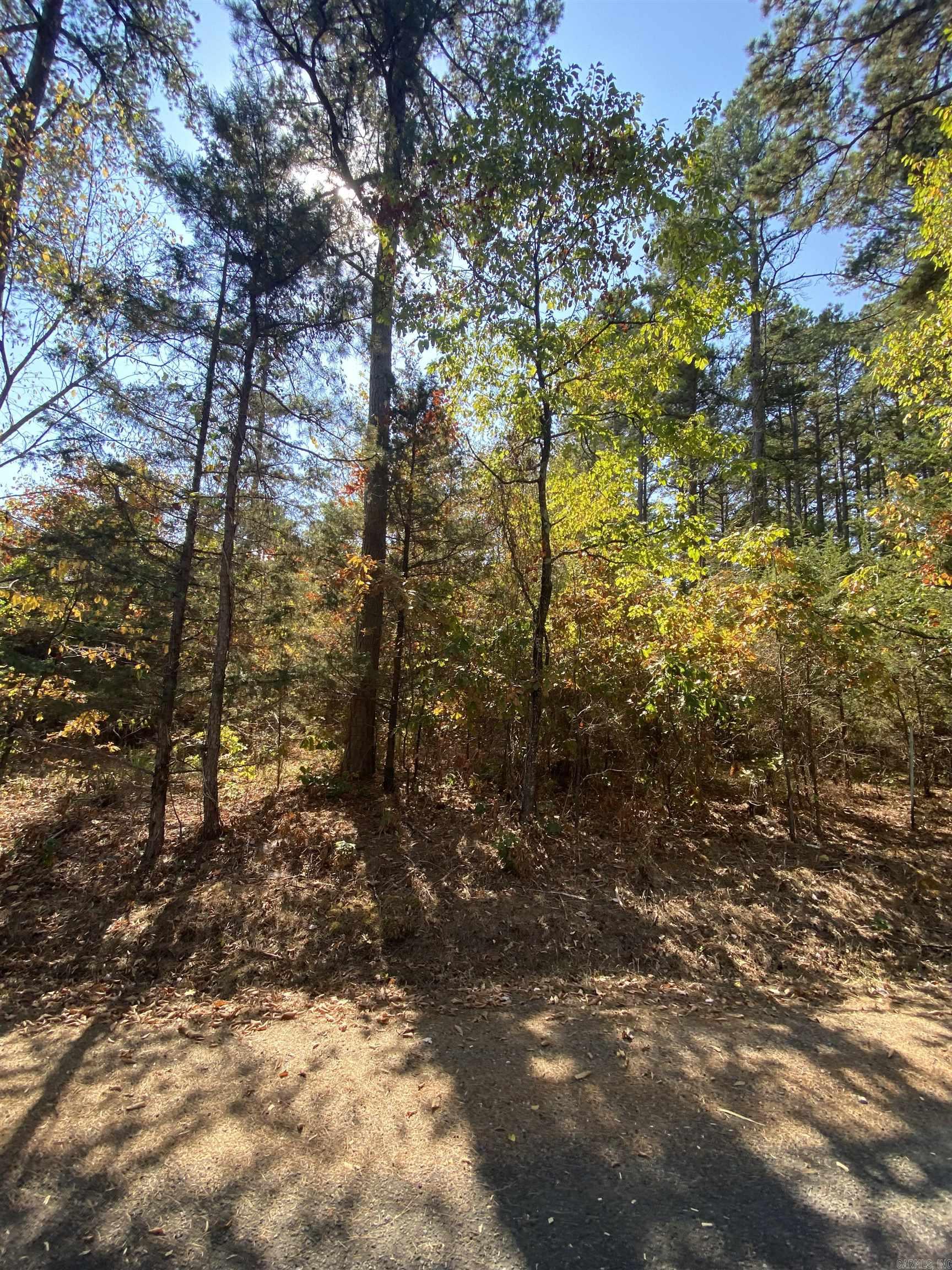 Twin Cove Estates - Land