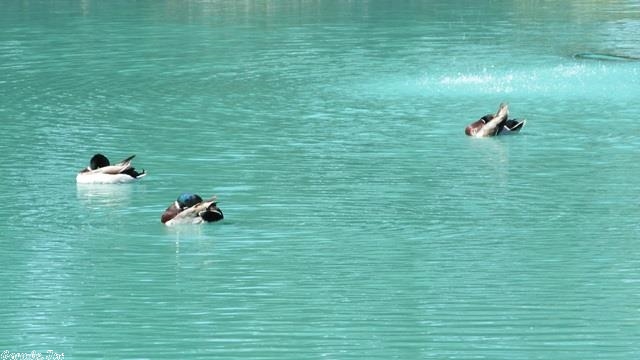 Tate & Tate - Residential