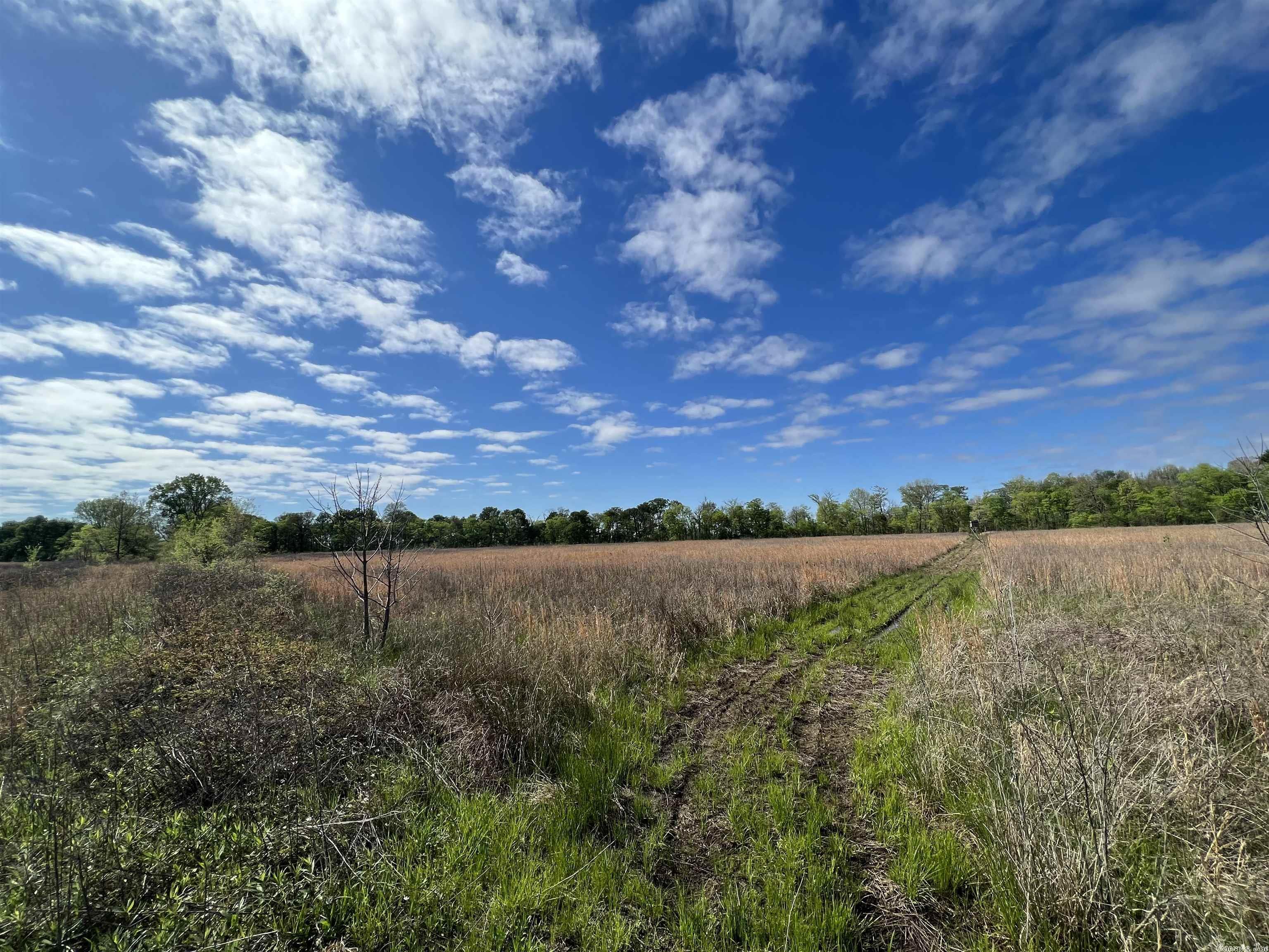 121 +/- Acres of Hunting Land. Easy access, Highway Frontage. Less than 11 miles from England, AR and less than 8 miles to the Arkansas River channel known as Wild Cat Crossing.