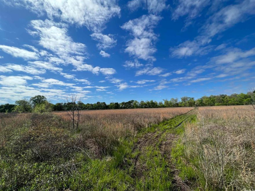 121 +/- Acres of Hunting Land. Easy access, Highway Frontage. Less than 11 miles from England, AR and less than 8 miles to the Arkansas River channel known as Wild Cat Crossing.