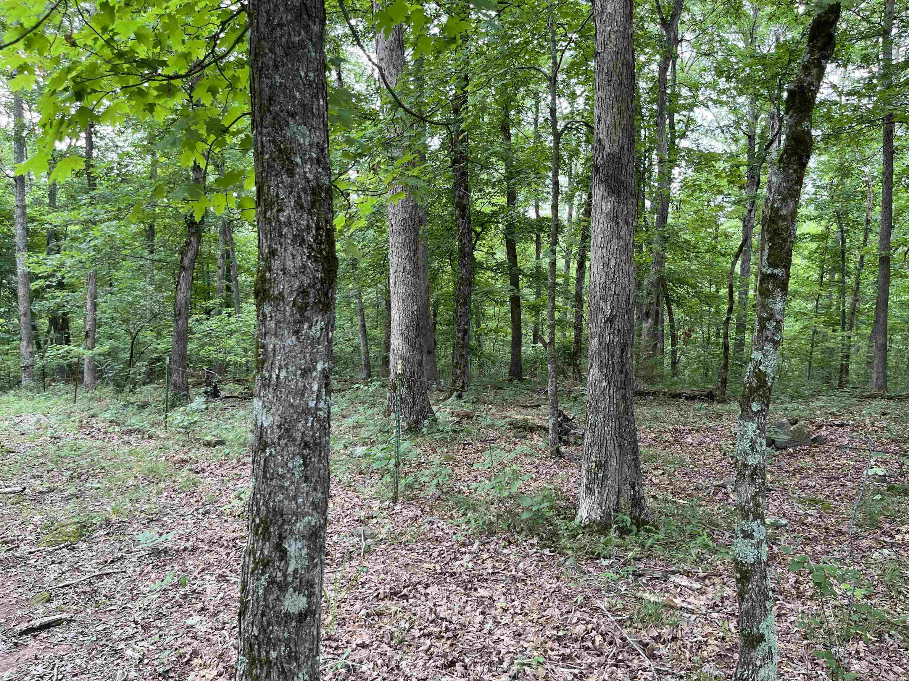 Metes & Bounds - Farm