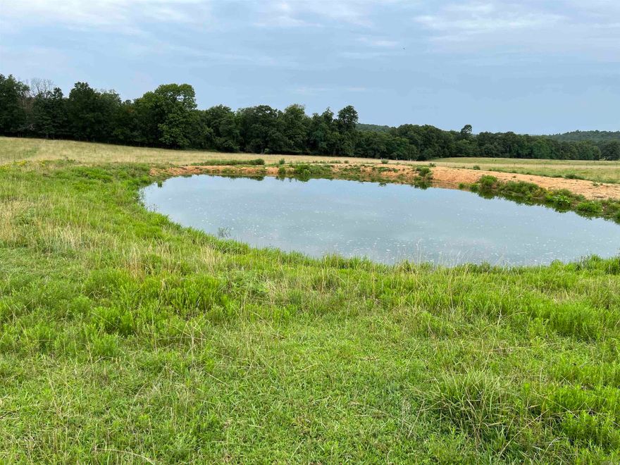 230 acre cattle farm for sale in Searcy County, AR. 90 acres of good pasture and hay fields. Current owner runs 38 head of cattle. There are 3 ponds on the property to water the livestock. An additional 140 acres of hardwood timber provides habitat for whitetail deer, turkey, and an occasional bear for excellent hunting. There are multiple outbuildings on this property including a 60x20 pole barn with 4 bays, a 20x50 hay barn, and a 40x30 metal shop. A 26x26 block building was formerly a butcher shop and could easily be converted to living quarters. There is another 14x20 block building as well. Working cattle pens are already established. There is public water along the highway. A water well supplies the block house and the water tanks in the pasture. There are several nice building sites with frontage on the highway. Searcy county is a great place to live with all its natural beauty and close proximity to the Buffalo National River for kayaking and canoeing. For the avid fisherman, Greers Ferry Lake is approximately one hour away. Clinton is just a short drive down Hwy 65 for amenities, medical facilities and supplies.