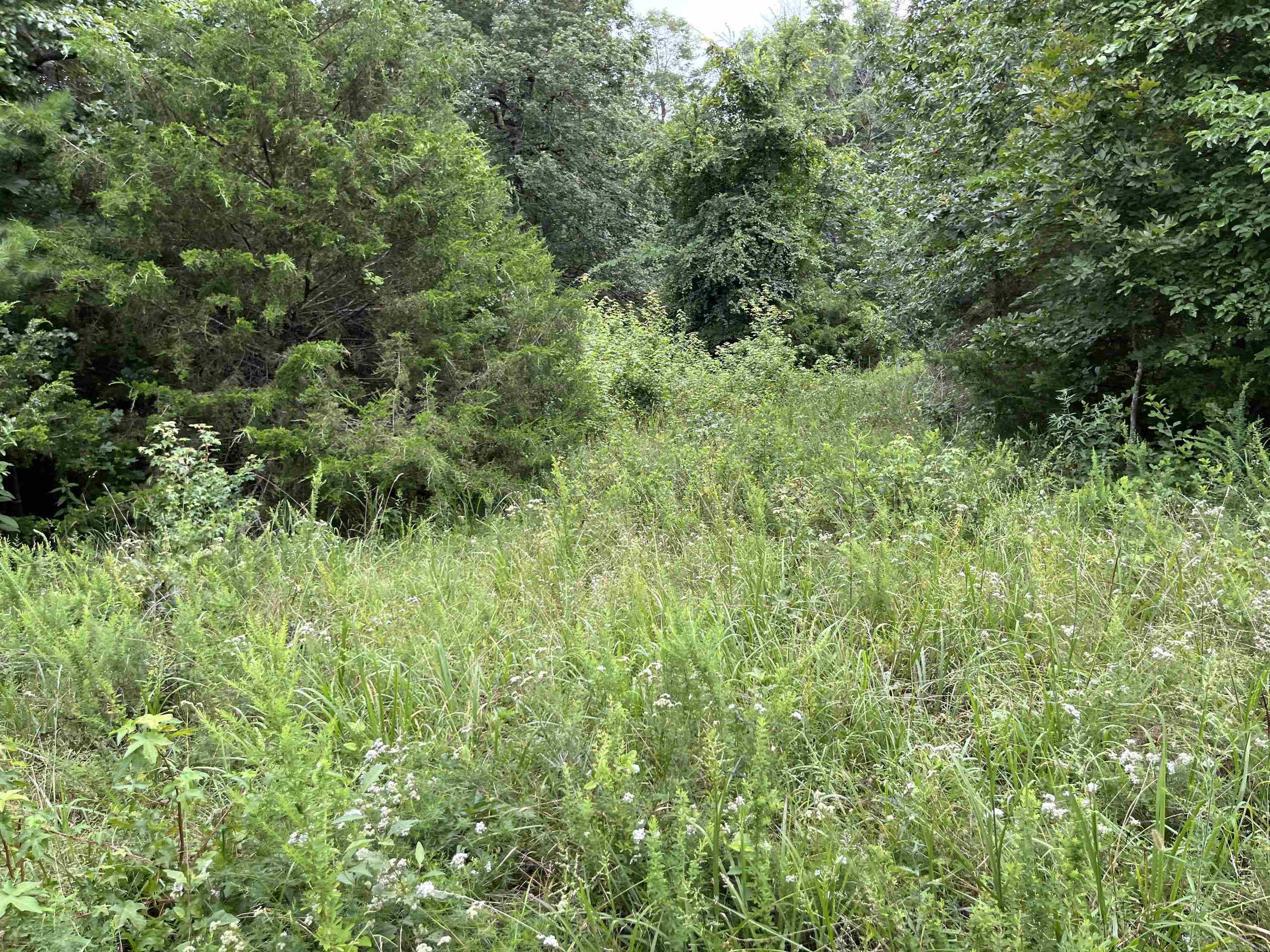 Metes & Bounds - Farm